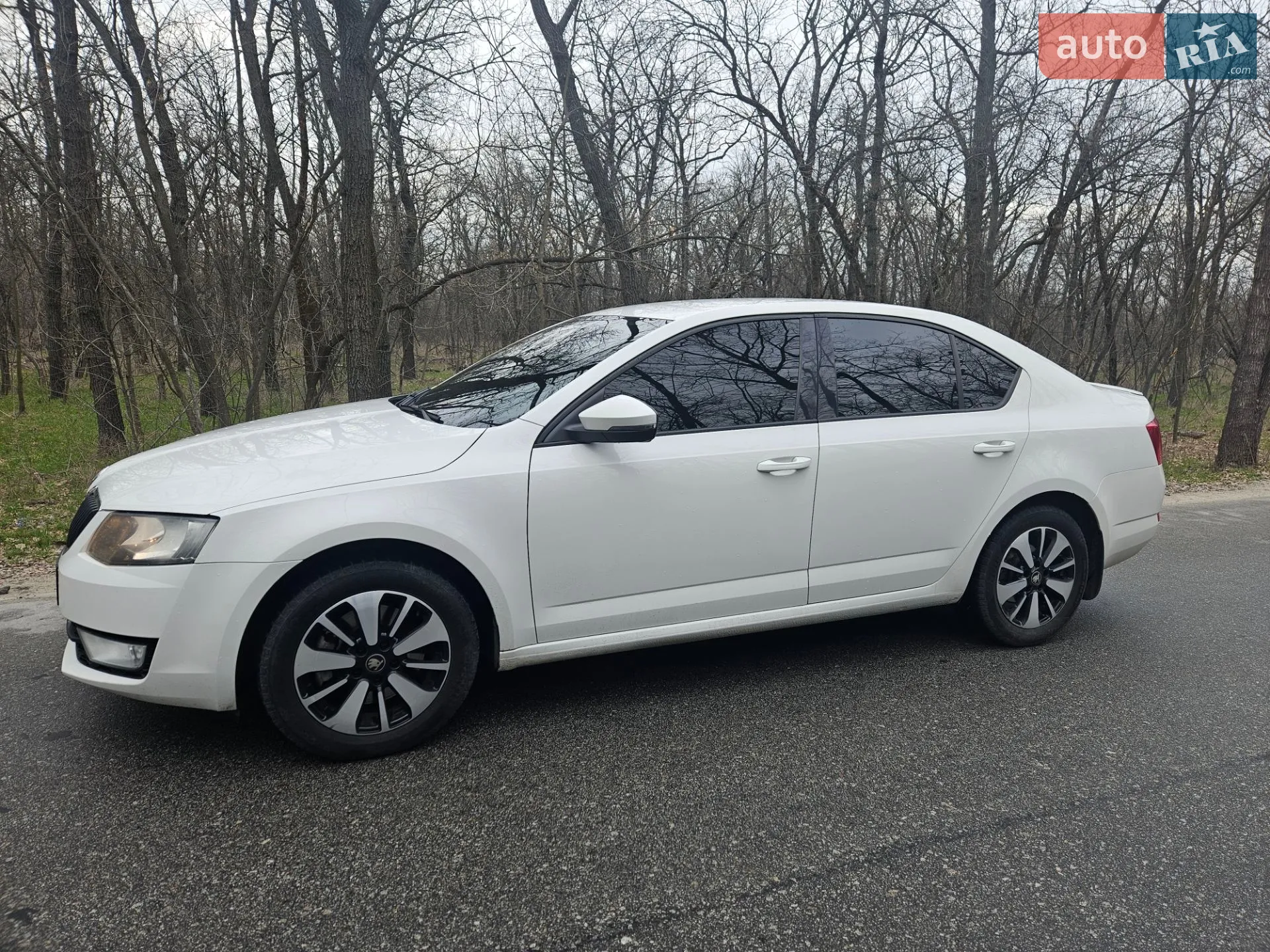 2016 Skoda Octavia - мініатюра 10