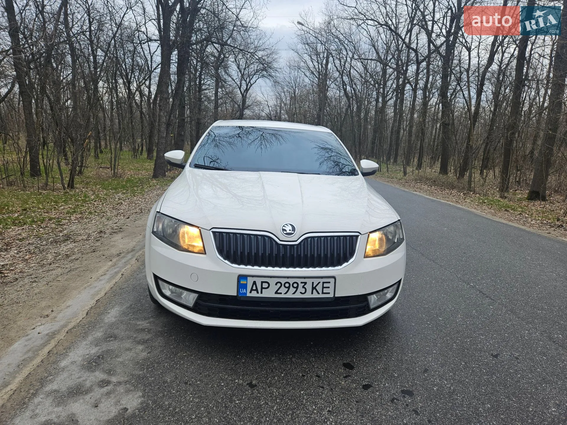 2016 Skoda Octavia - мініатюра 15