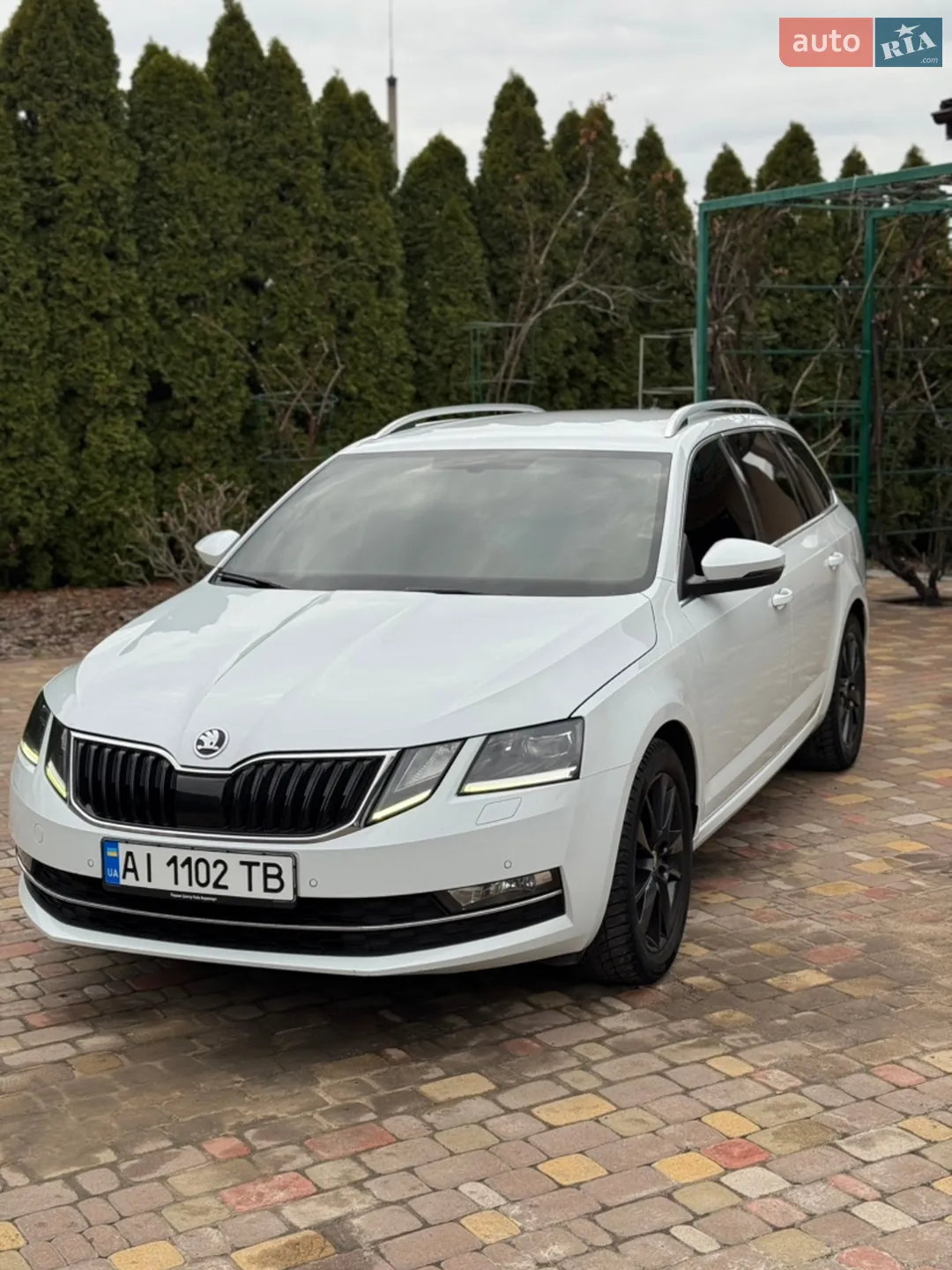 2019 Skoda Octavia - фото 1