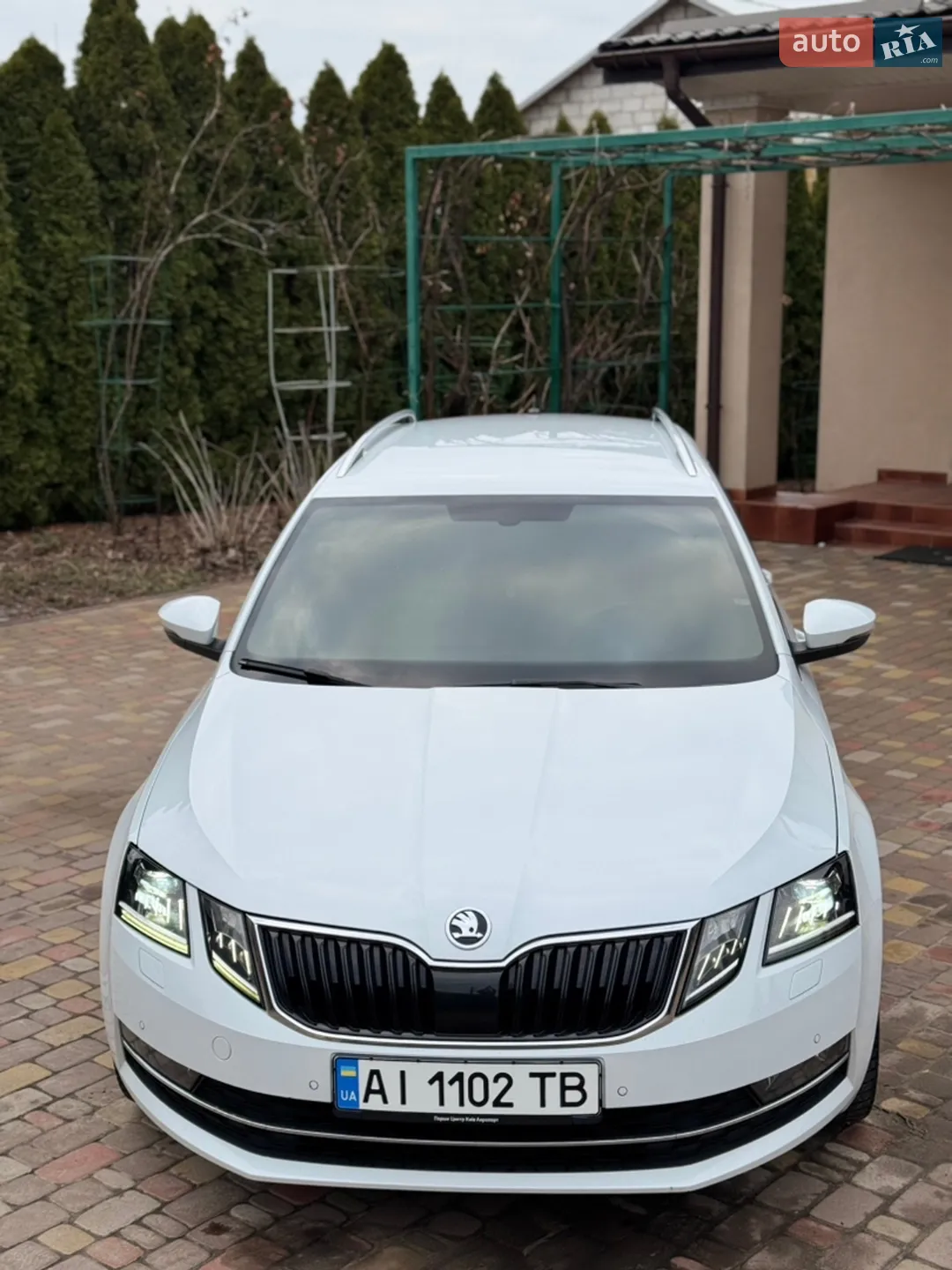 2019 Skoda Octavia - мініатюра 9