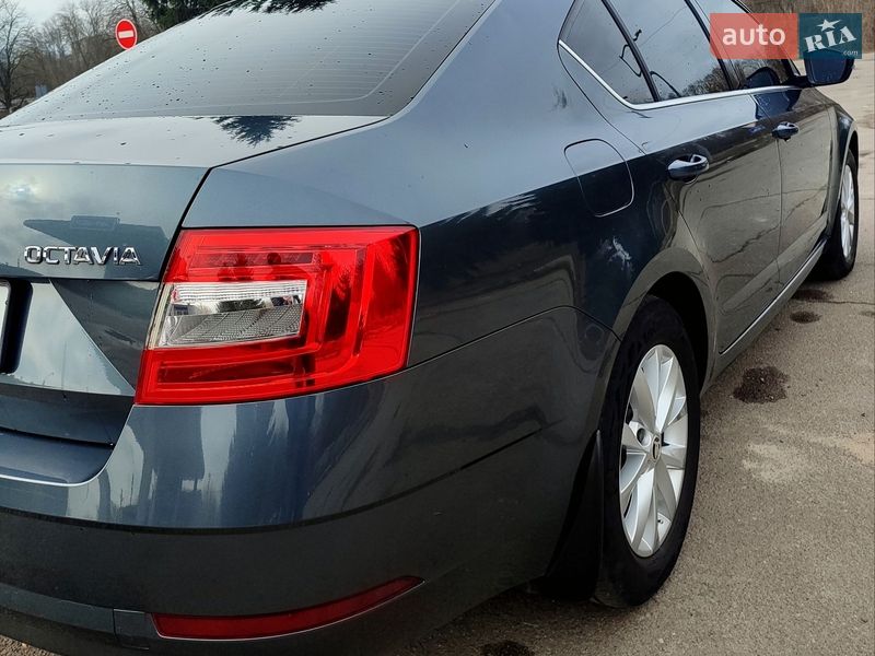 Лифтбек Skoda Octavia 2018 в Бердичеве