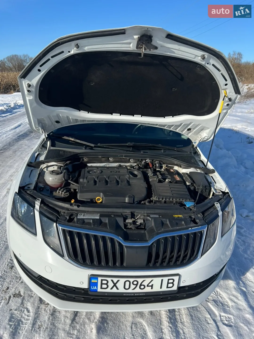 2018 Skoda Octavia - мініатюра 13