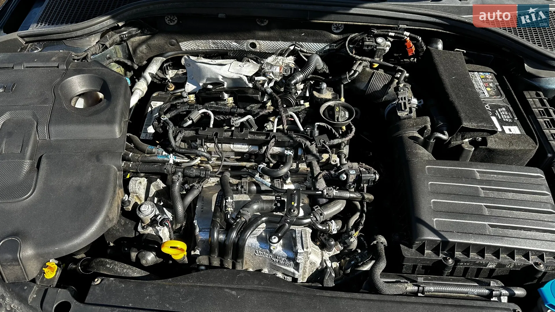 2016 Skoda Octavia - мініатюра 23