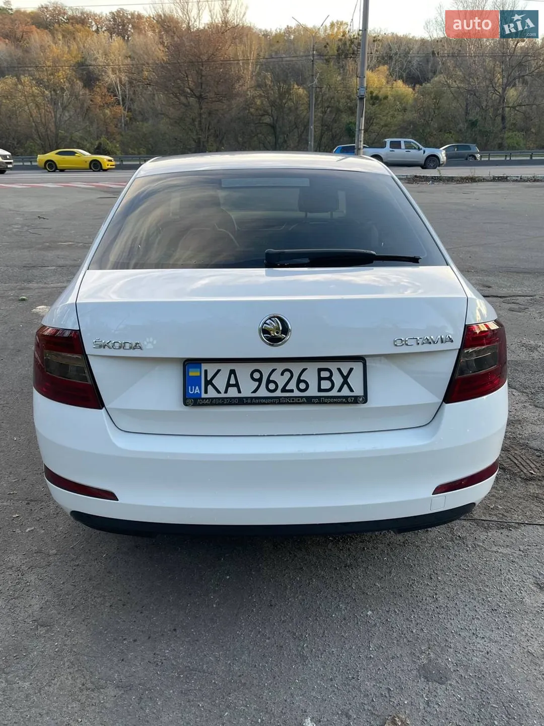 2016 Skoda Octavia - мініатюра 10