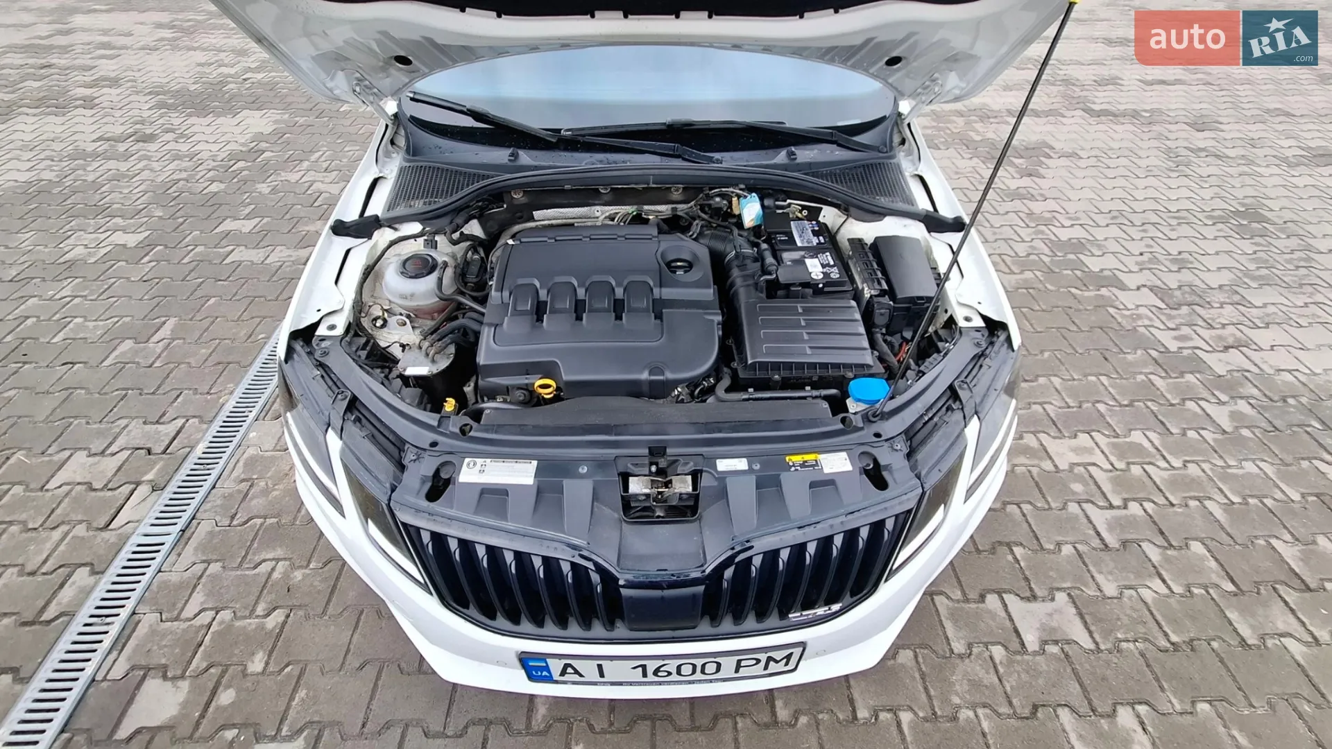 2019 Skoda Octavia - мініатюра 62