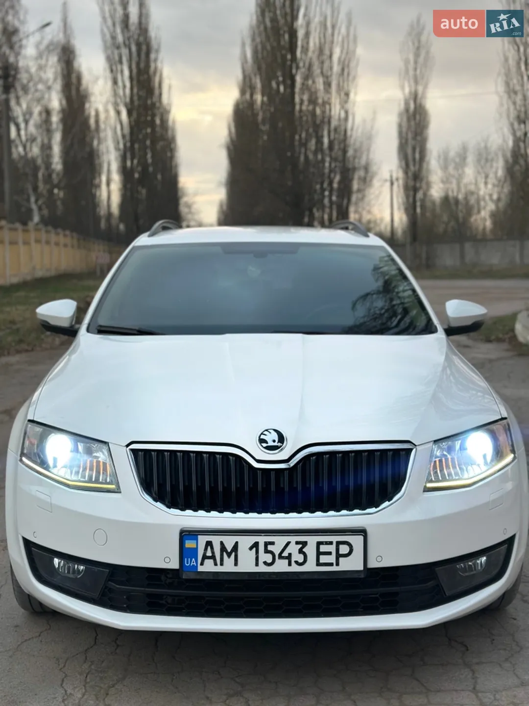2015 Skoda Octavia - мініатюра 11