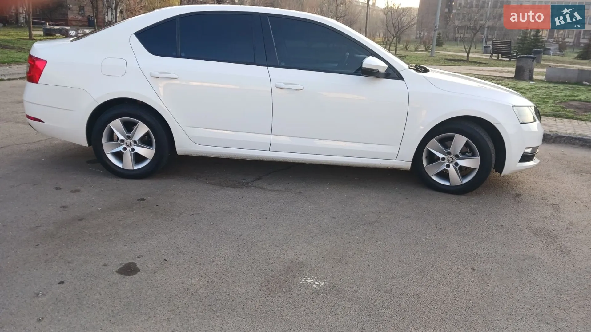 2019 Skoda Octavia - мініатюра 9