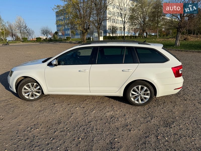 Універсал Skoda Octavia 2019 в Ужгороді
