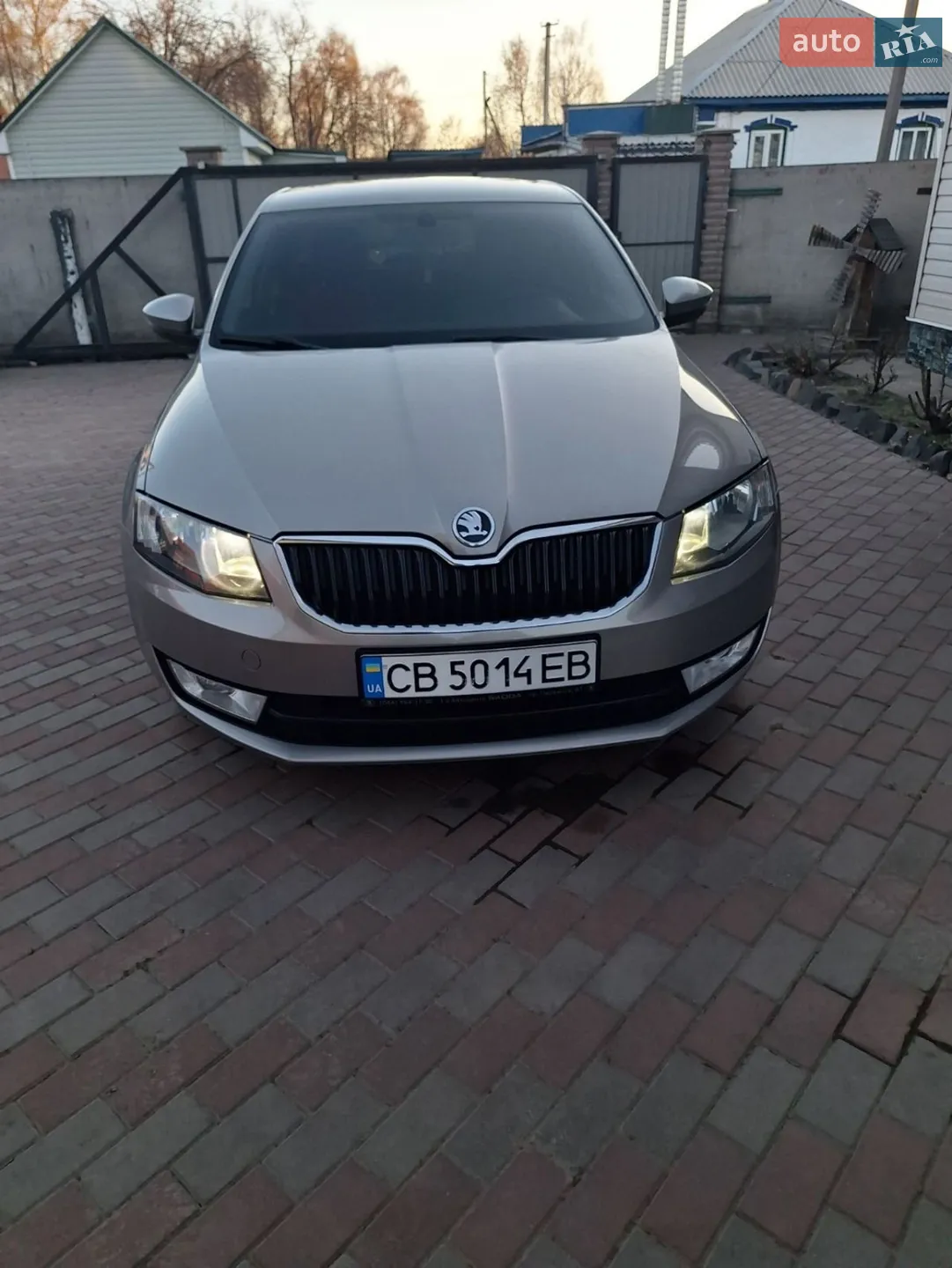 2013 Skoda Octavia - фото 1