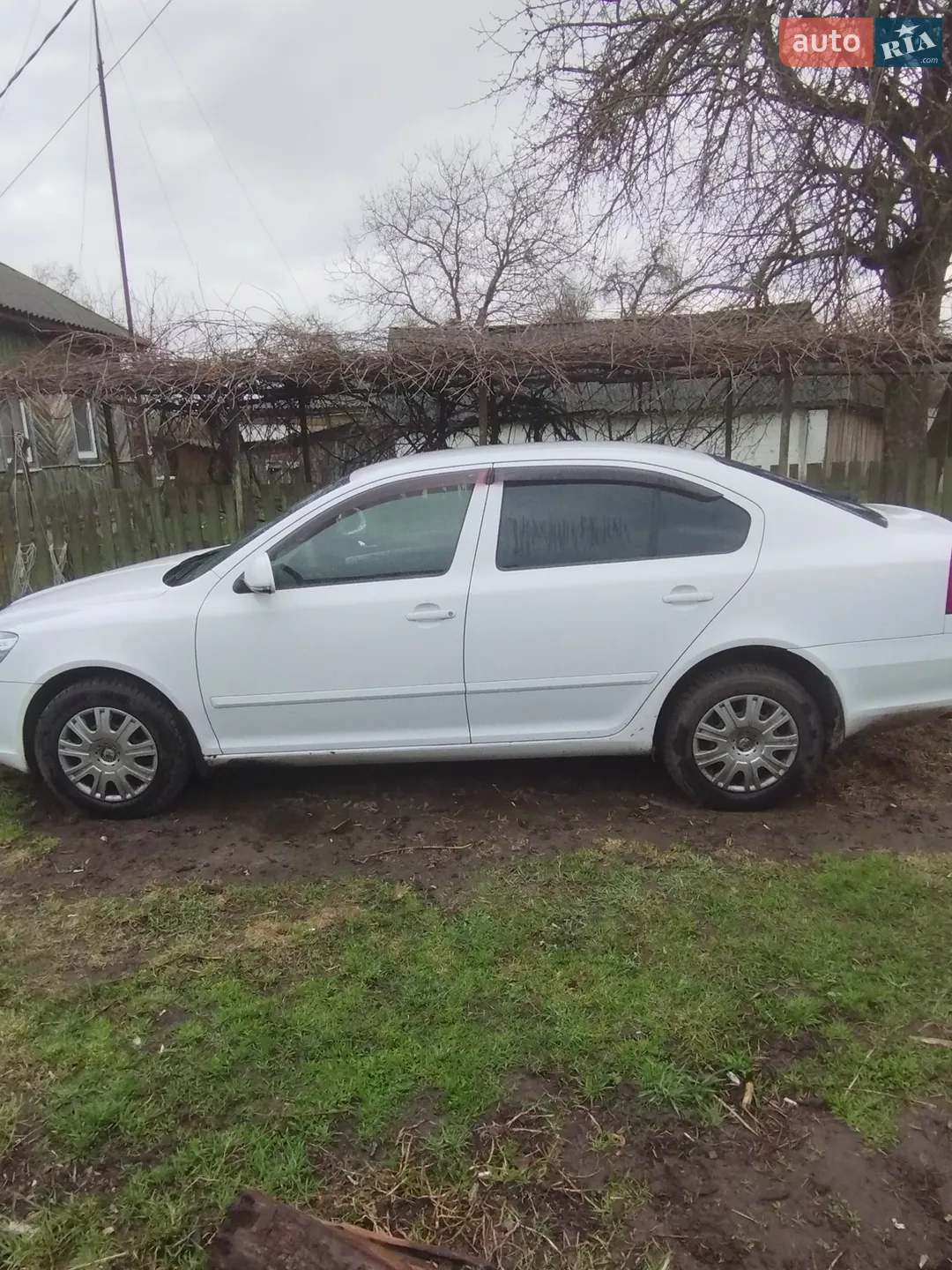 2011 Skoda Octavia - мініатюра 5