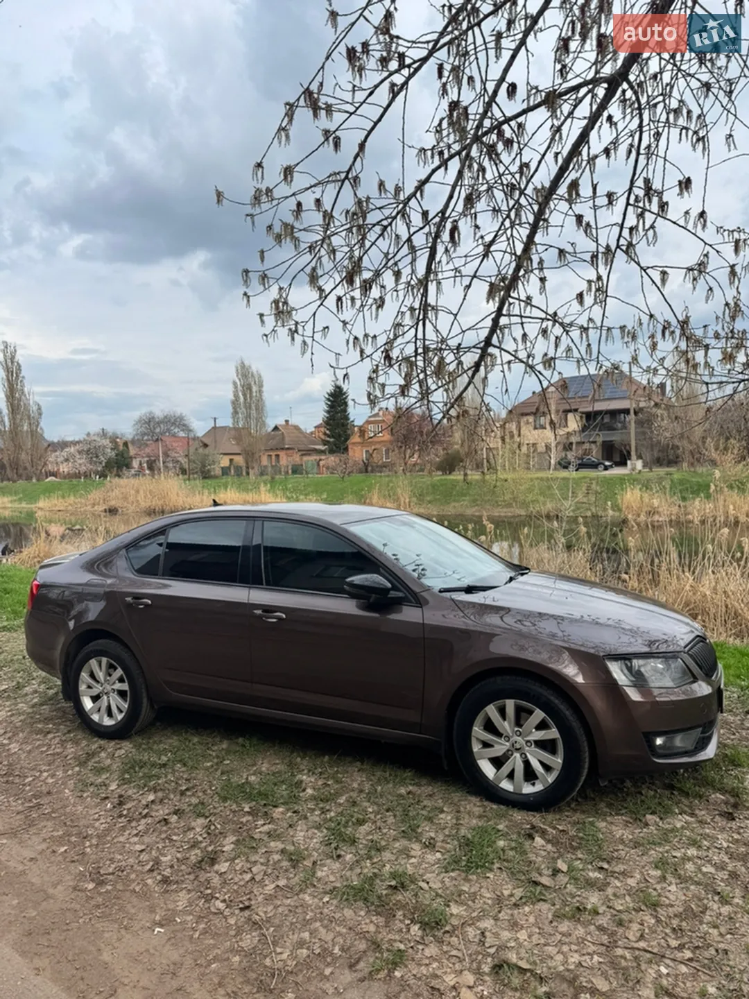 2013 Skoda Octavia - мініатюра 2