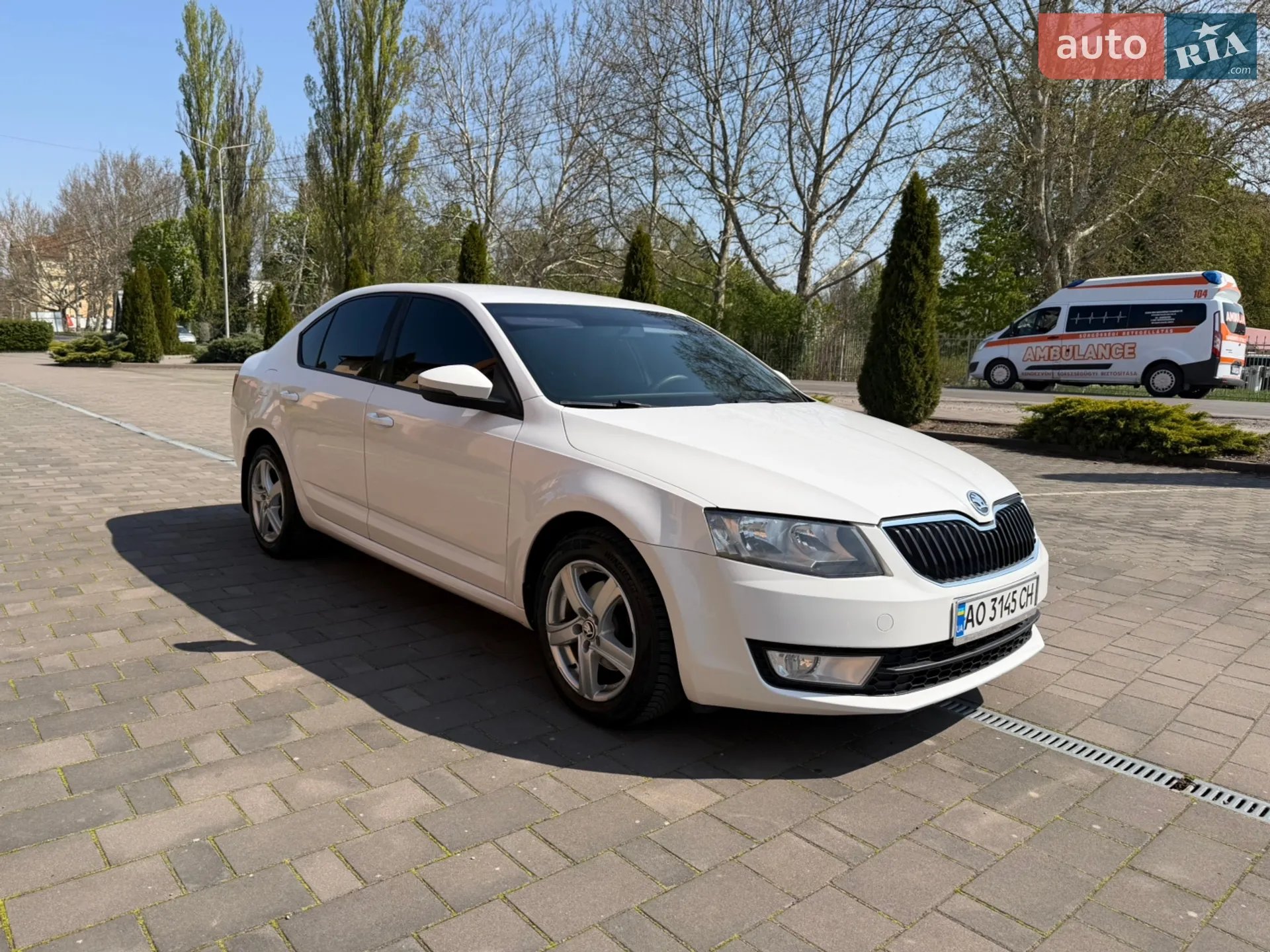 2013 Skoda Octavia - мініатюра 3