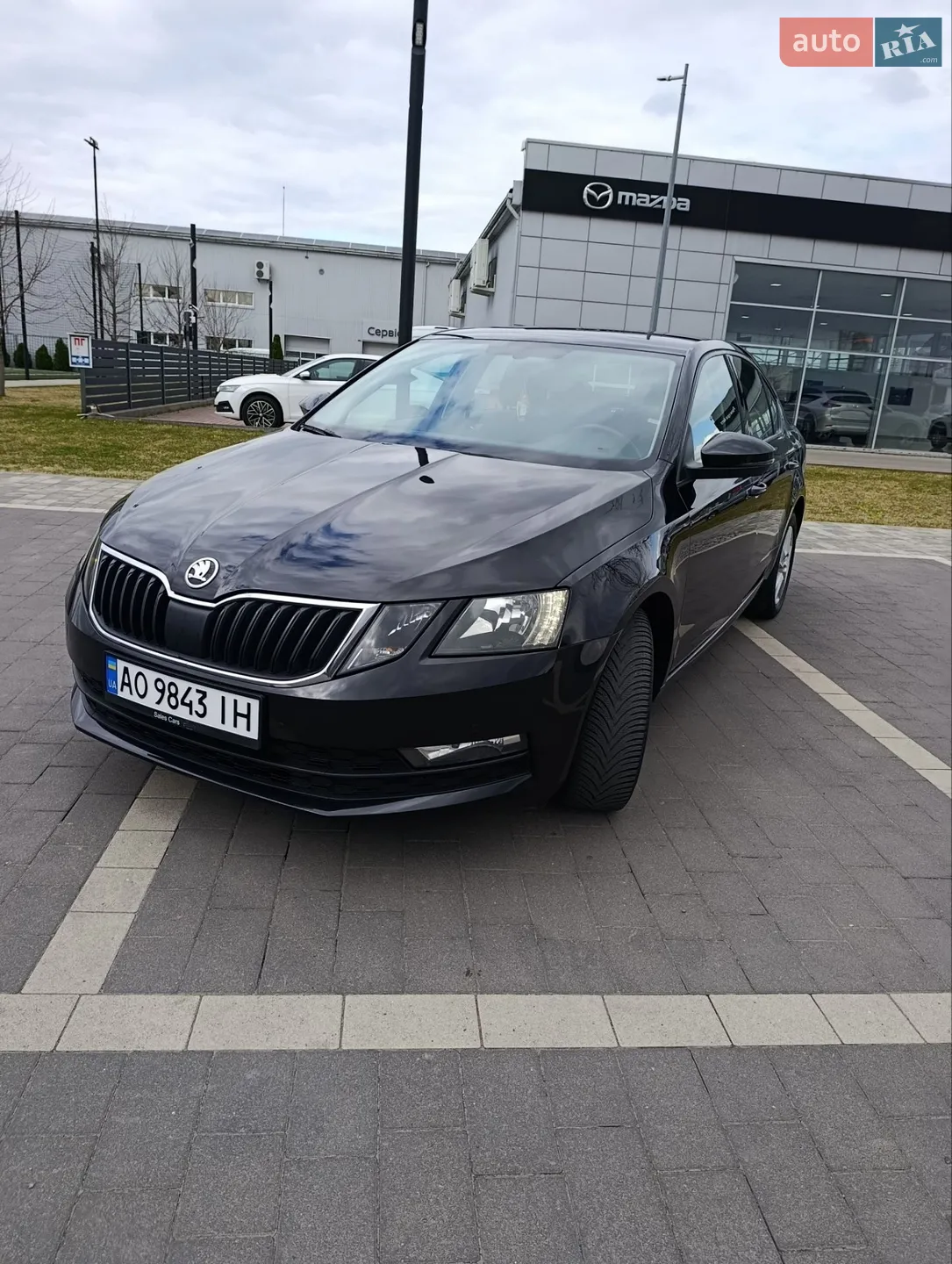 2019 Skoda Octavia - мініатюра 20