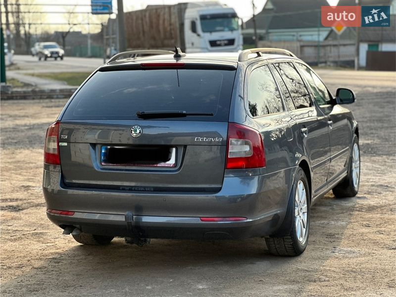 Універсал Skoda Octavia 2010 в Новому Бузі