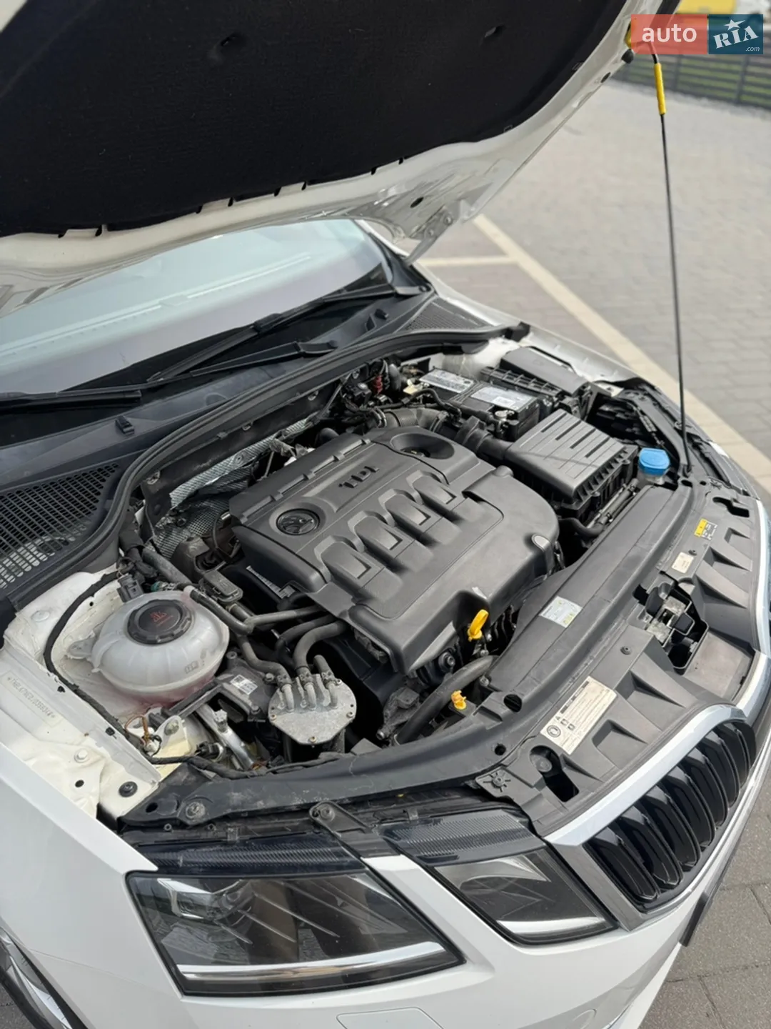 2018 Skoda Octavia - мініатюра 36