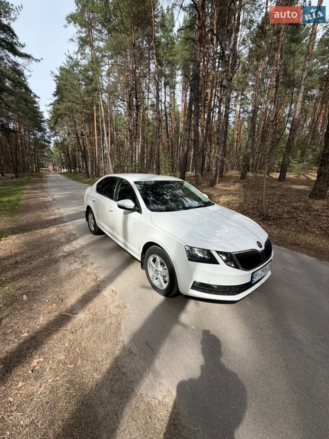 2019 Skoda Octavia - мініатюра 3