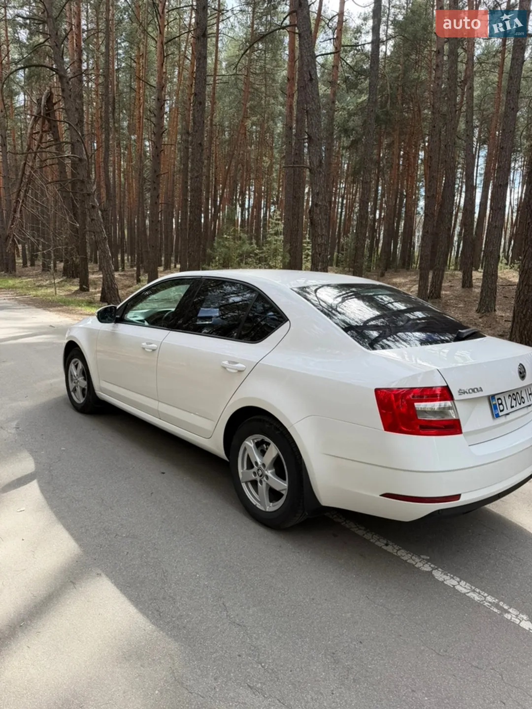 2019 Skoda Octavia - мініатюра 7