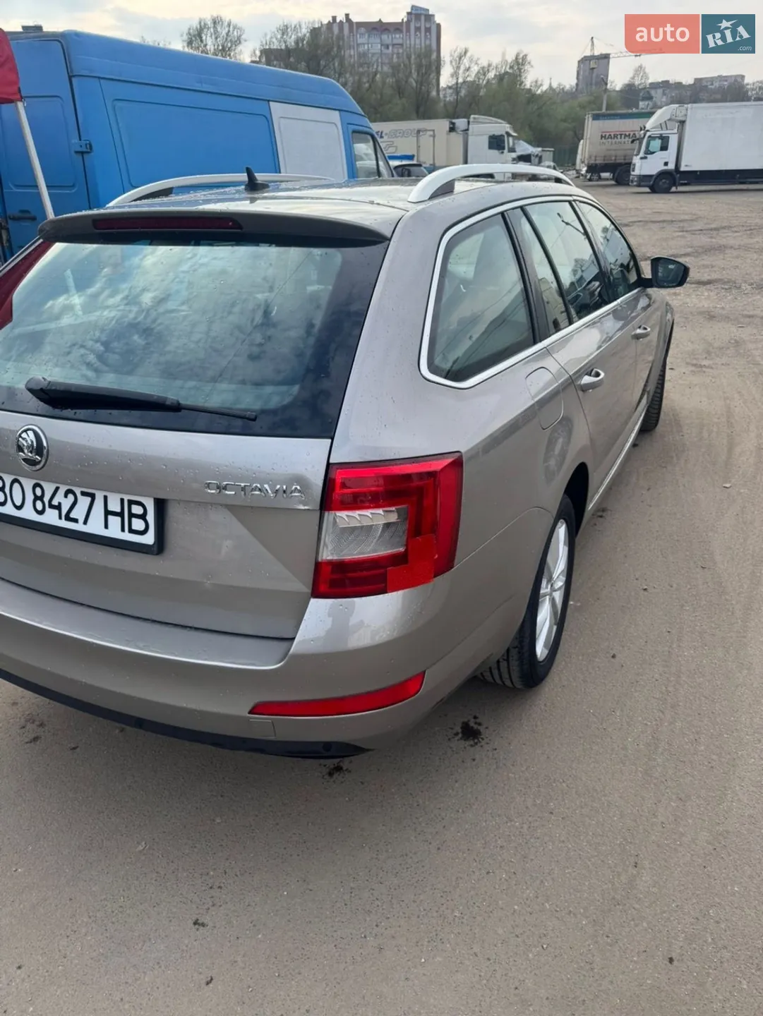2013 Skoda Octavia - мініатюра 8