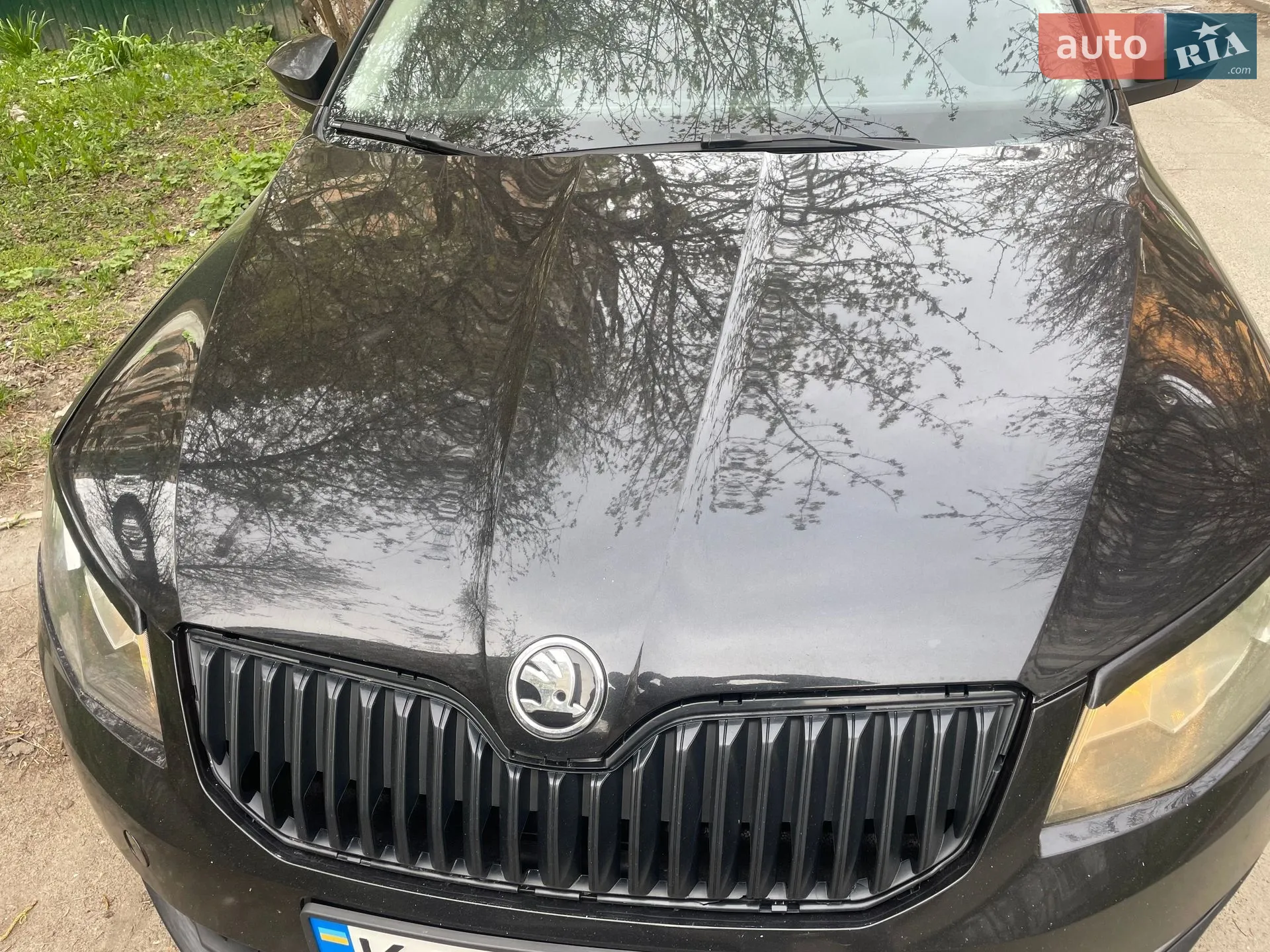 2015 Skoda Octavia - мініатюра 5