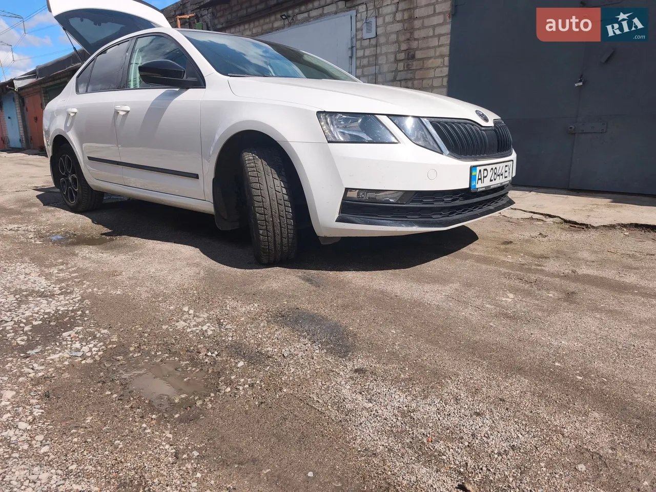 2019 Skoda Octavia - мініатюра 18