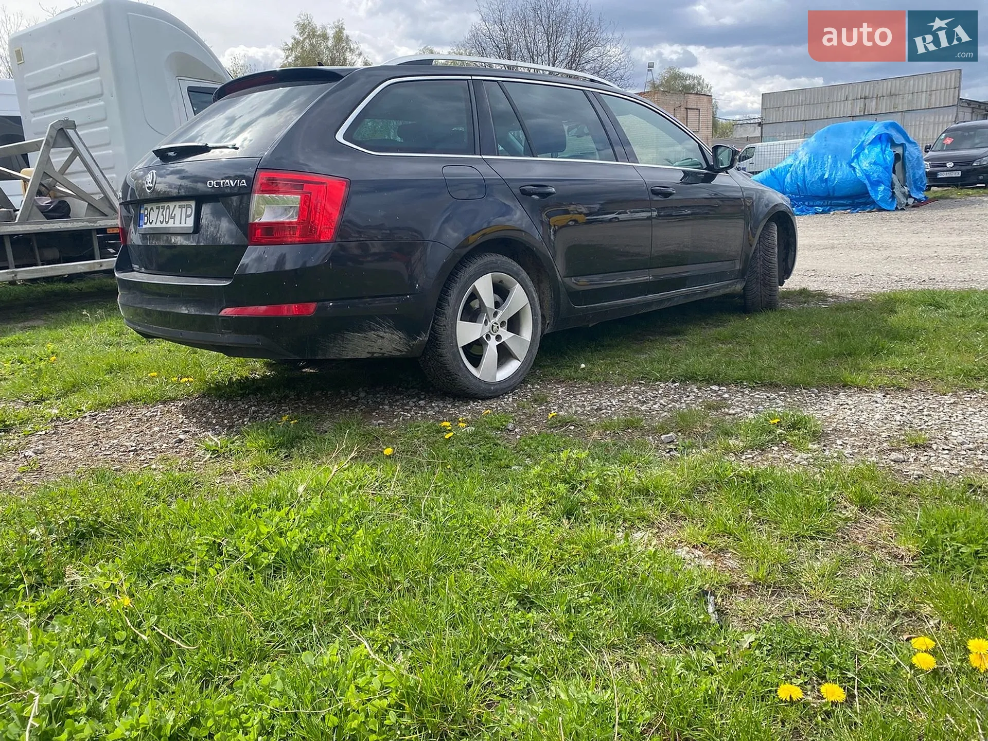 2015 Skoda Octavia - мініатюра 3