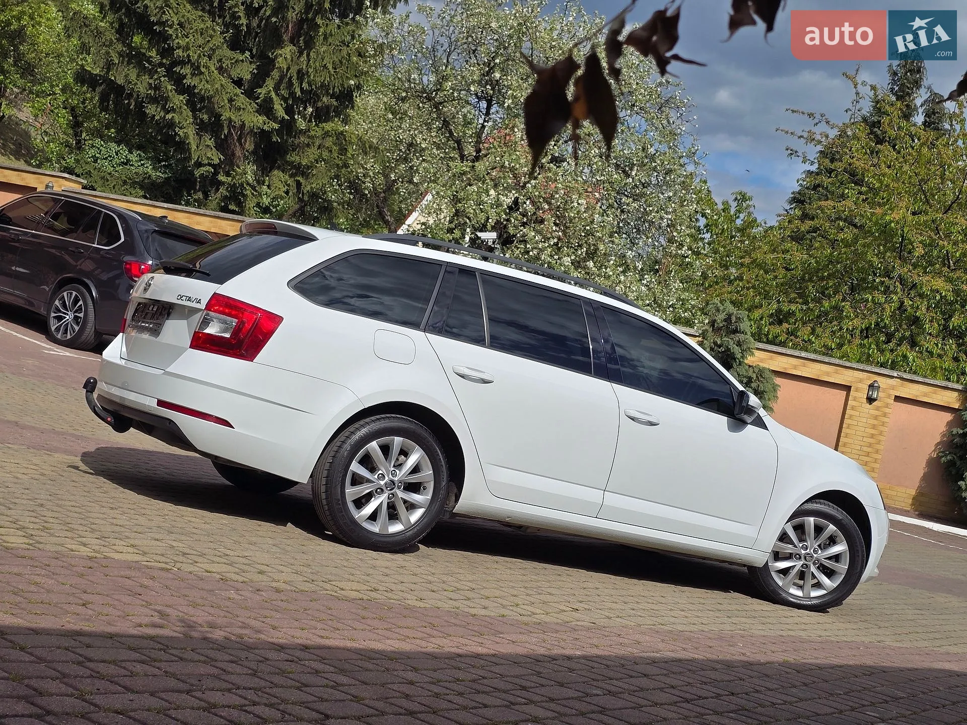 2019 Skoda Octavia - мініатюра 4