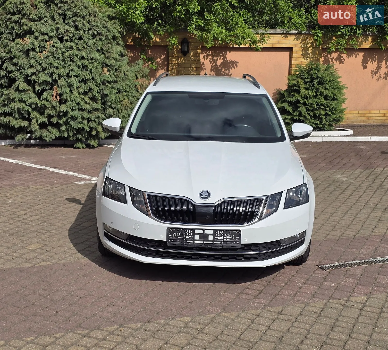 2019 Skoda Octavia - мініатюра 23