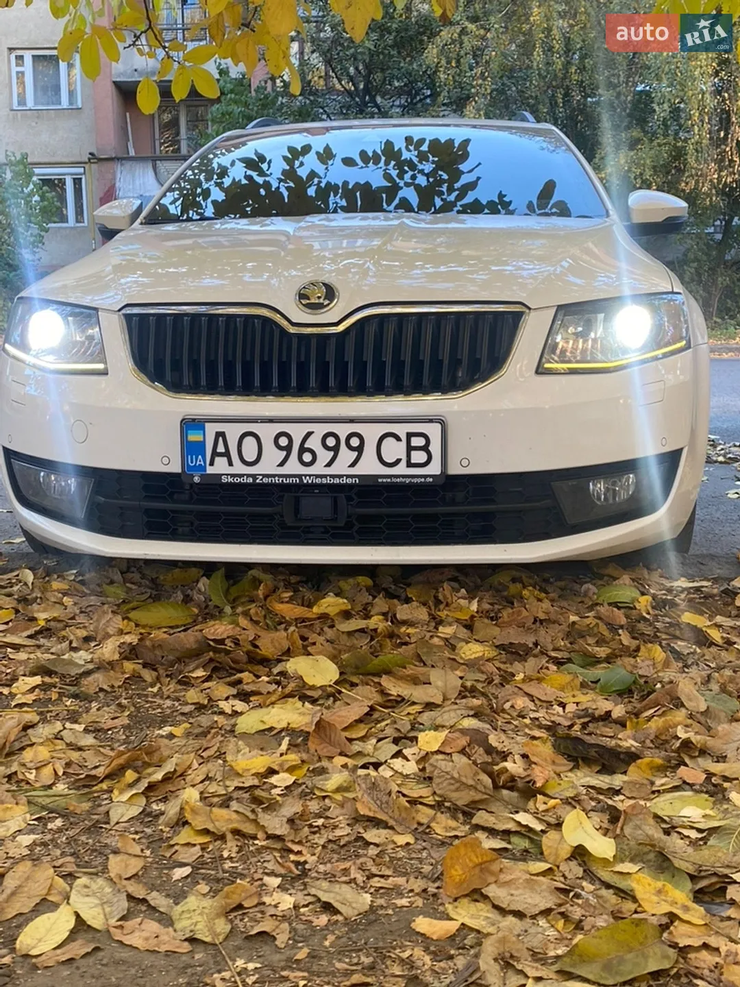 2014 Skoda Octavia - мініатюра 6