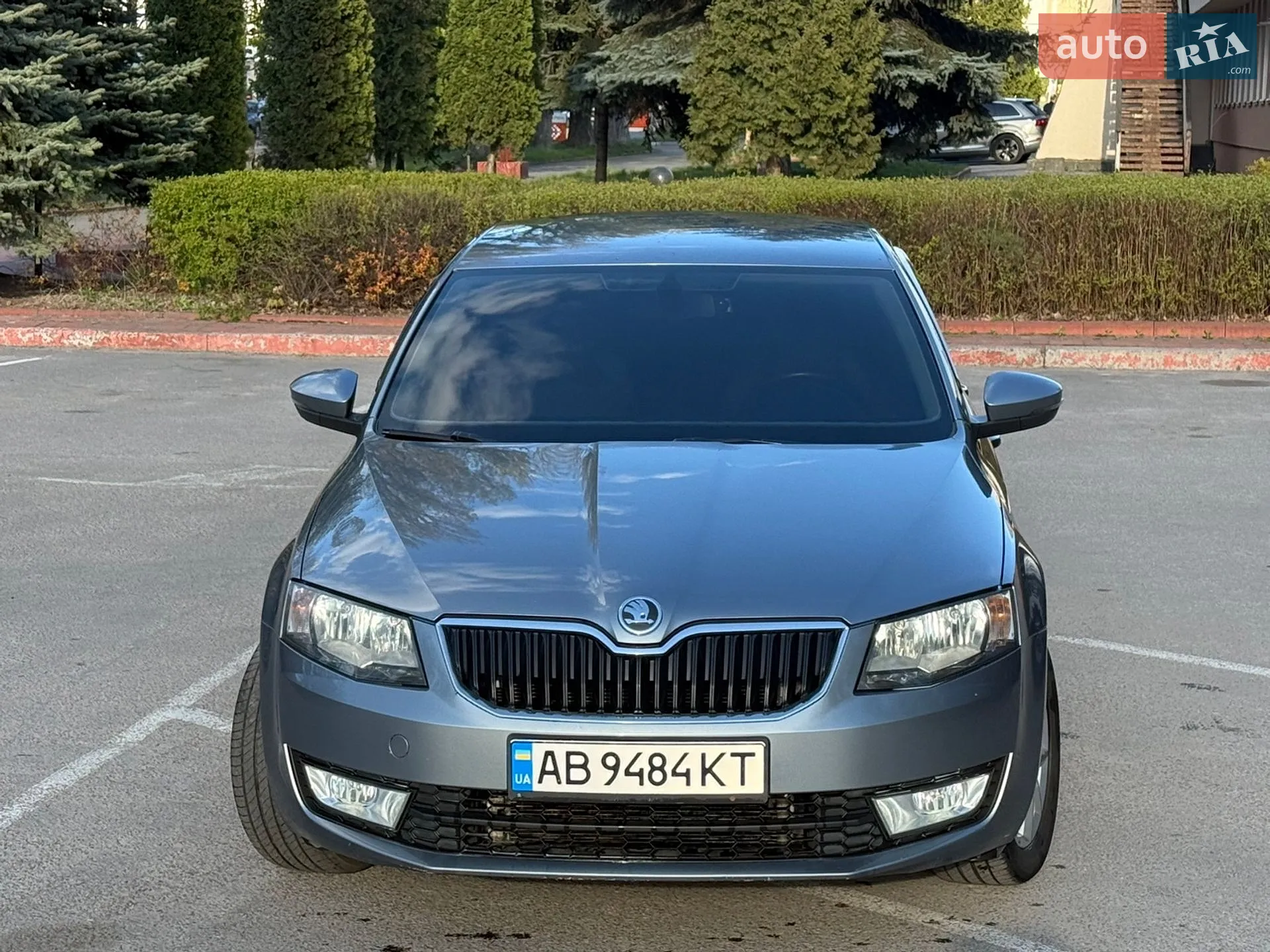 2013 Skoda Octavia - мініатюра 10