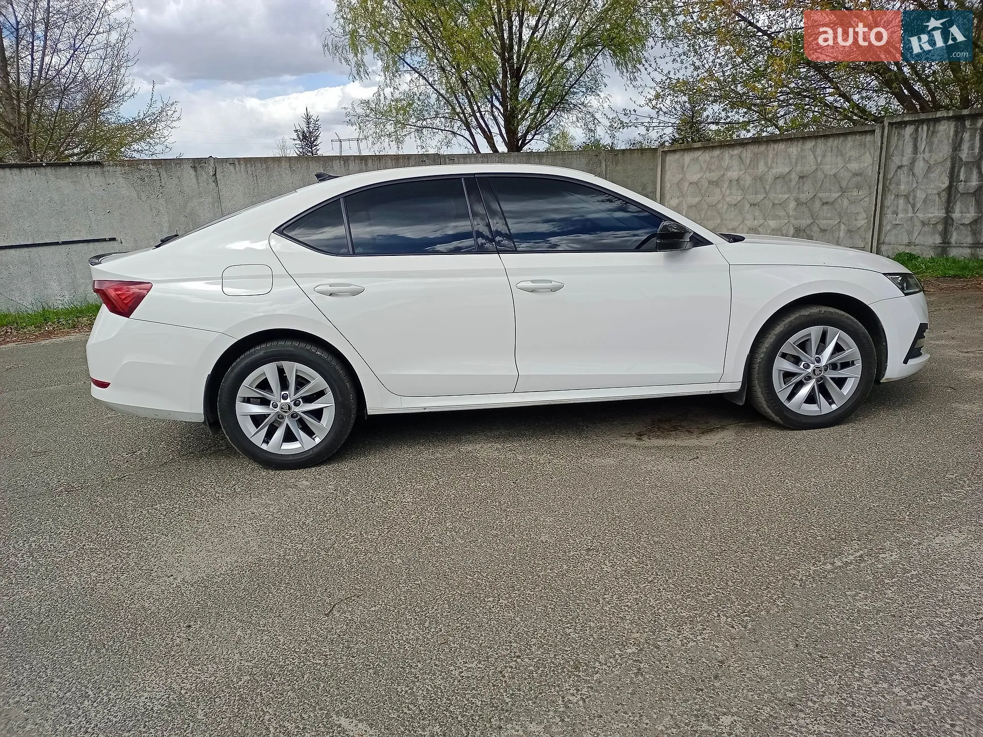 2023 Skoda Octavia - мініатюра 4