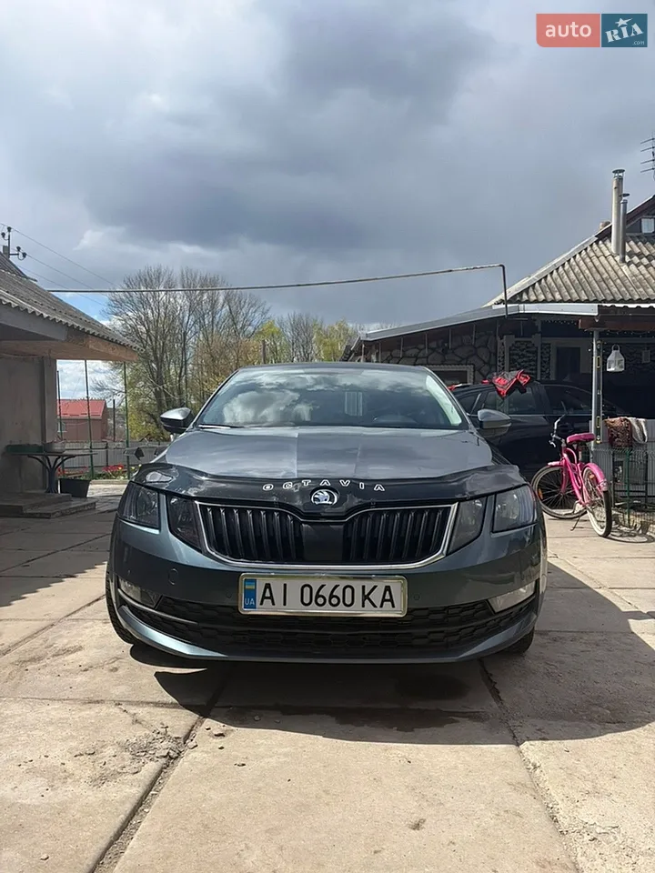 2018 Skoda Octavia - мініатюра 45