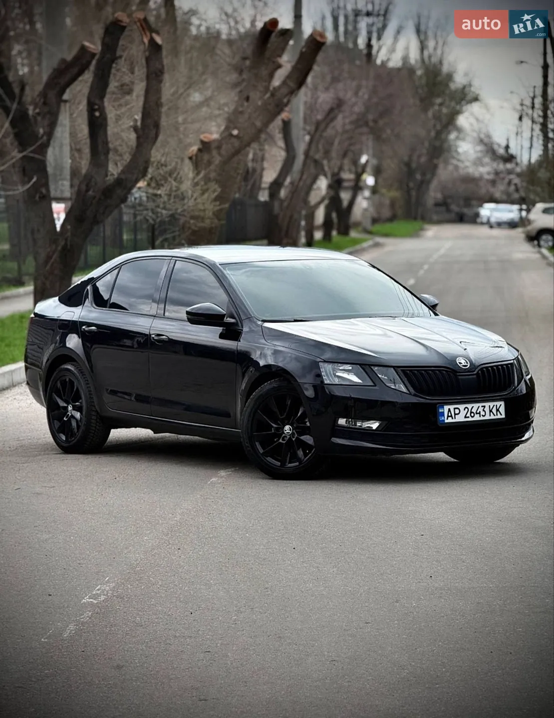 2018 Skoda Octavia - мініатюра 3