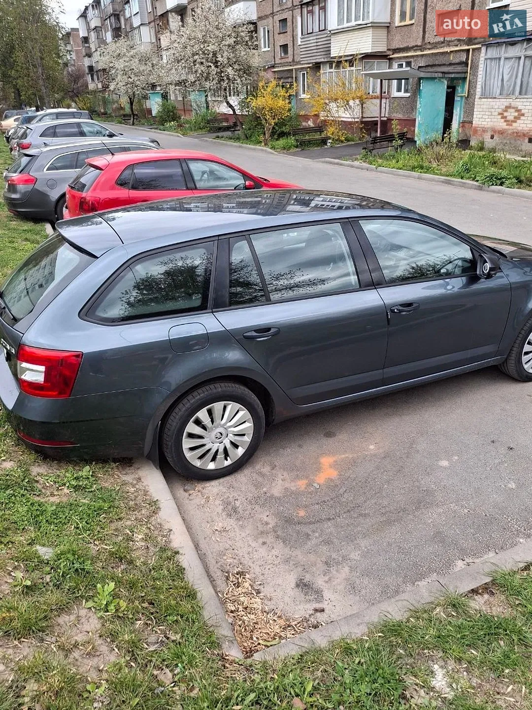 2017 Skoda Octavia - мініатюра 5
