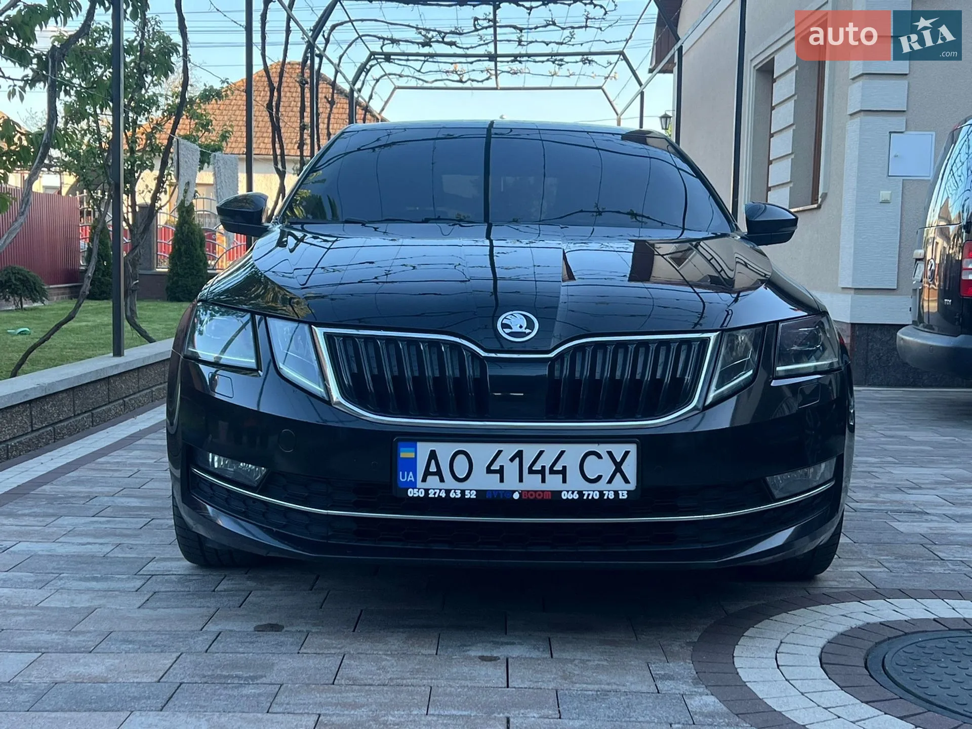 2019 Skoda Octavia - мініатюра 14