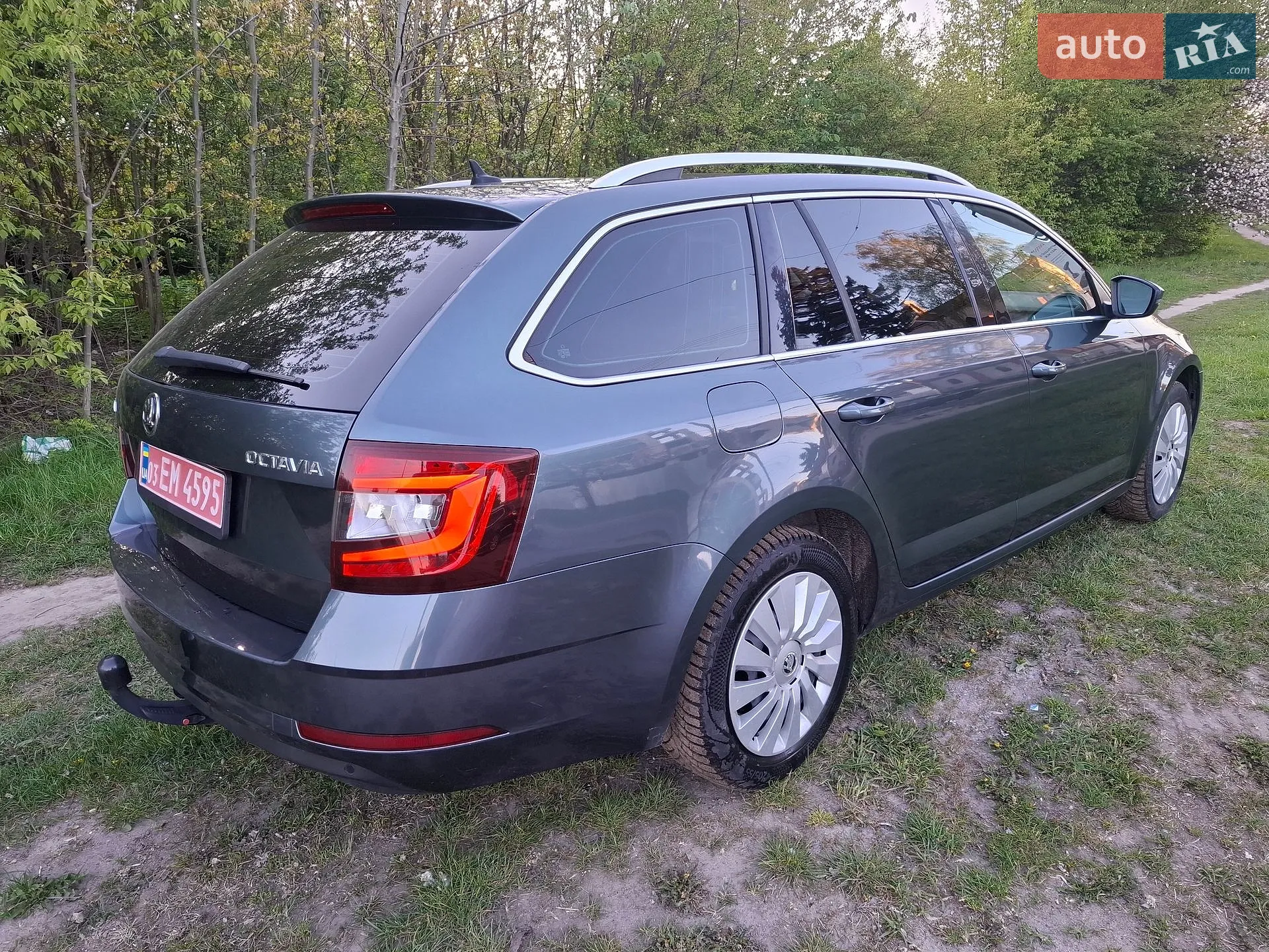 2019 Skoda Octavia - мініатюра 4