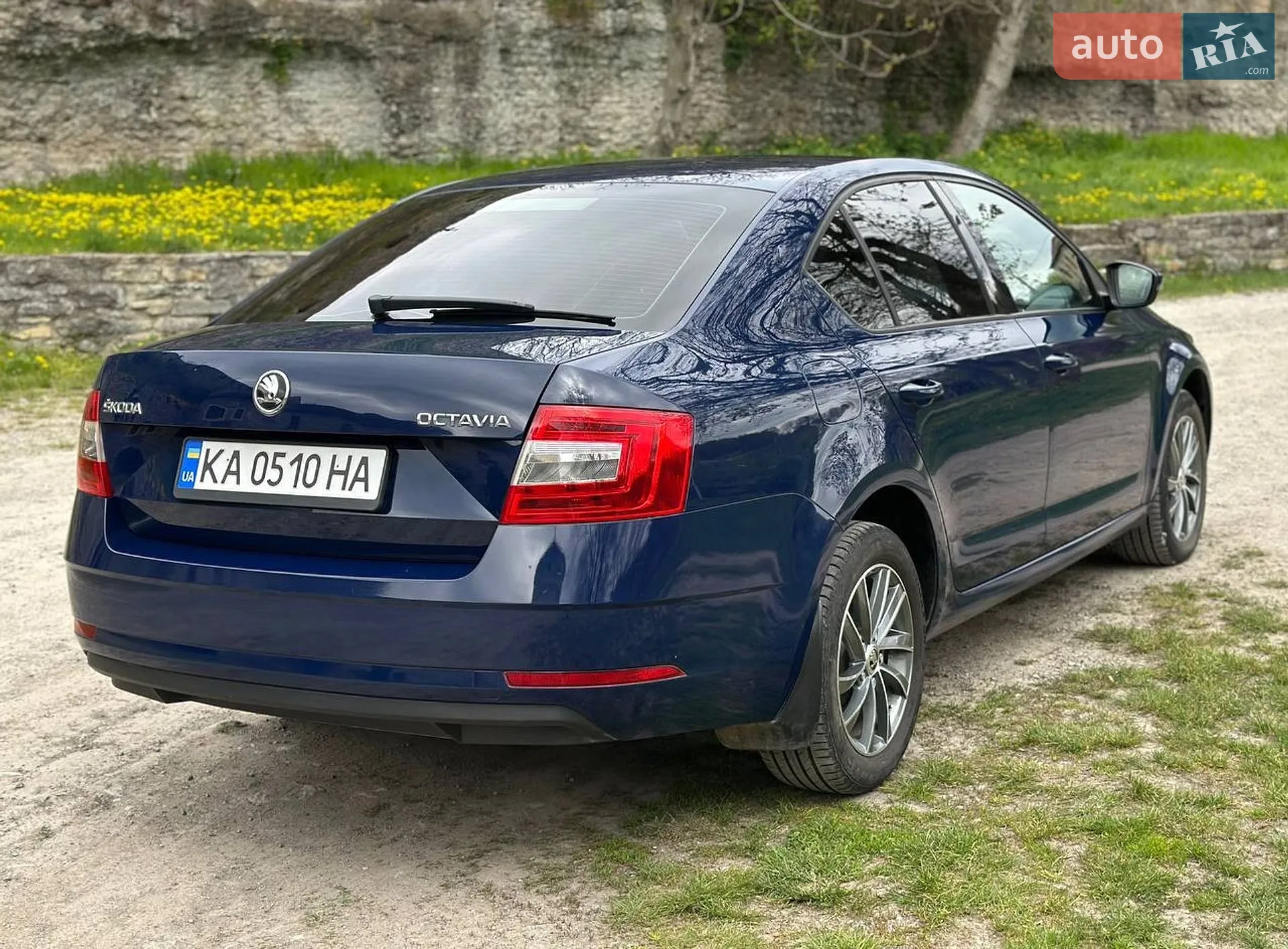 2017 Skoda Octavia - мініатюра 7