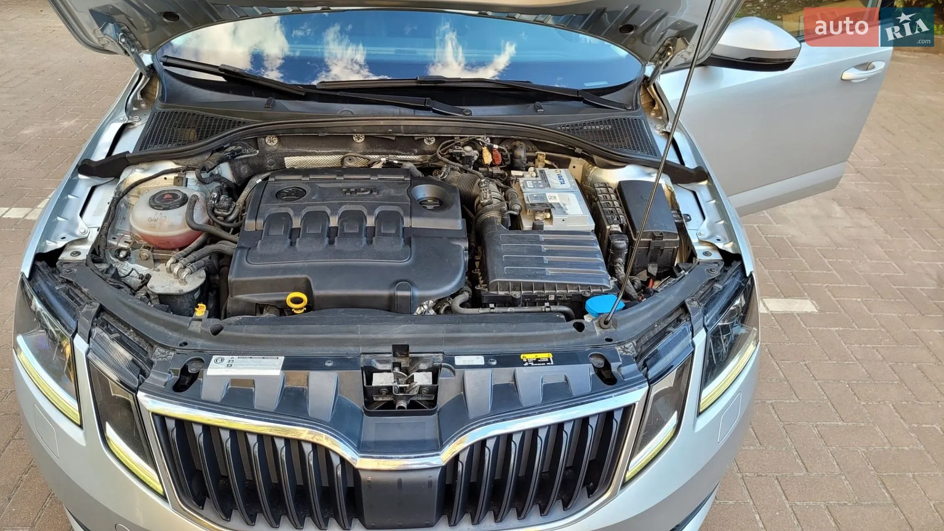 2019 Skoda Octavia - мініатюра 21
