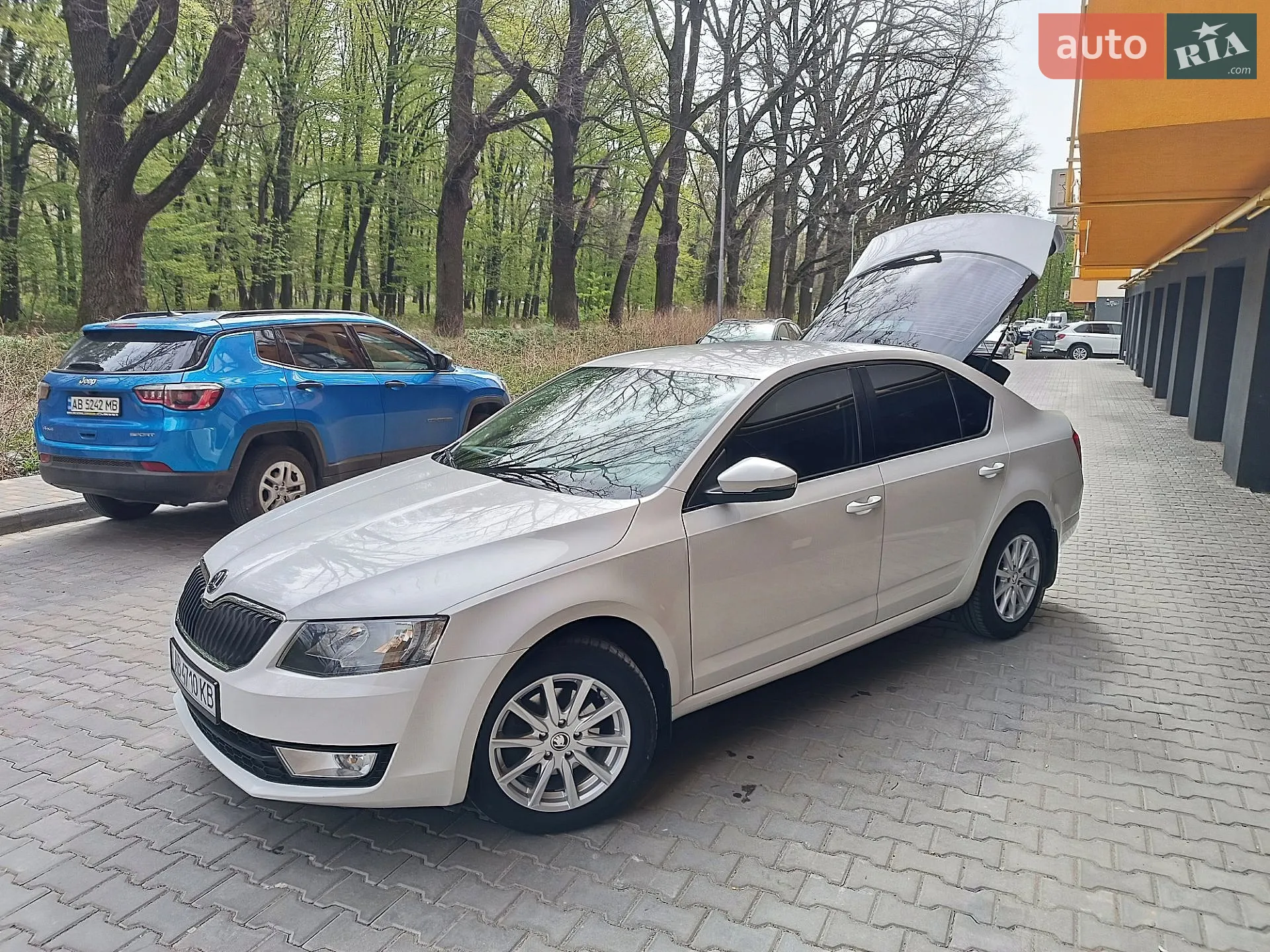 2013 Skoda Octavia - мініатюра 3