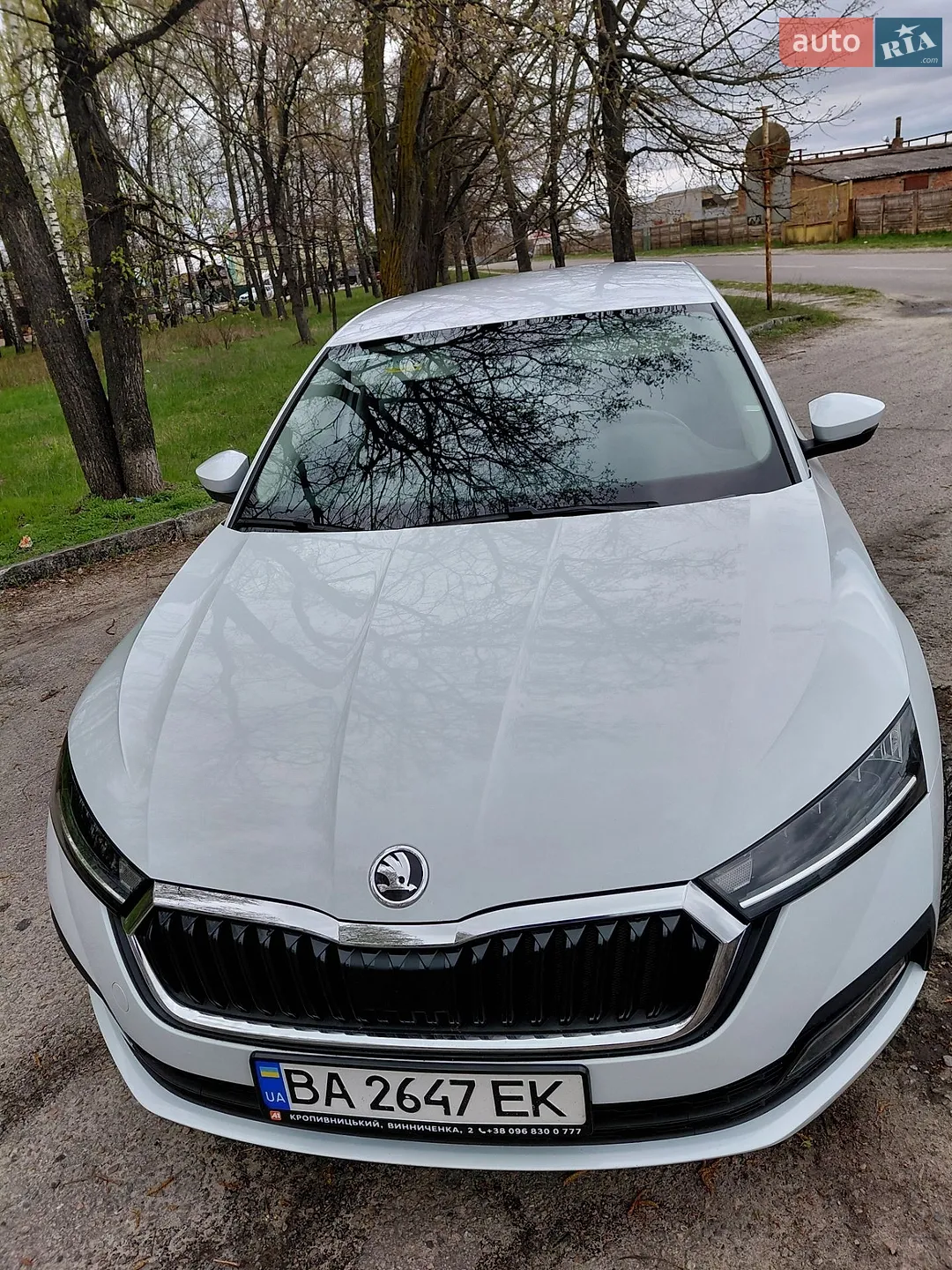 2020 Skoda Octavia - мініатюра 9