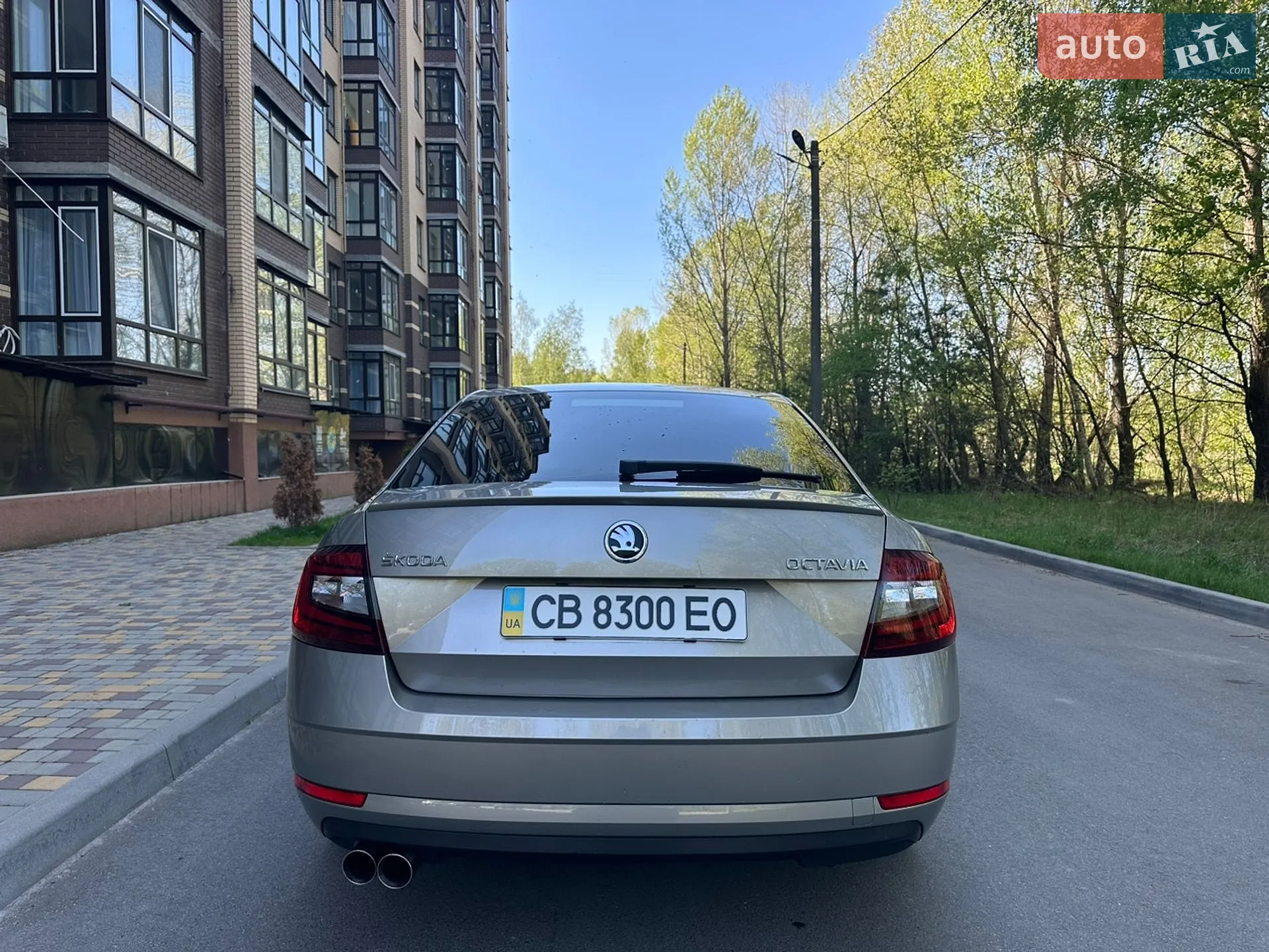 2017 Skoda Octavia - мініатюра 6