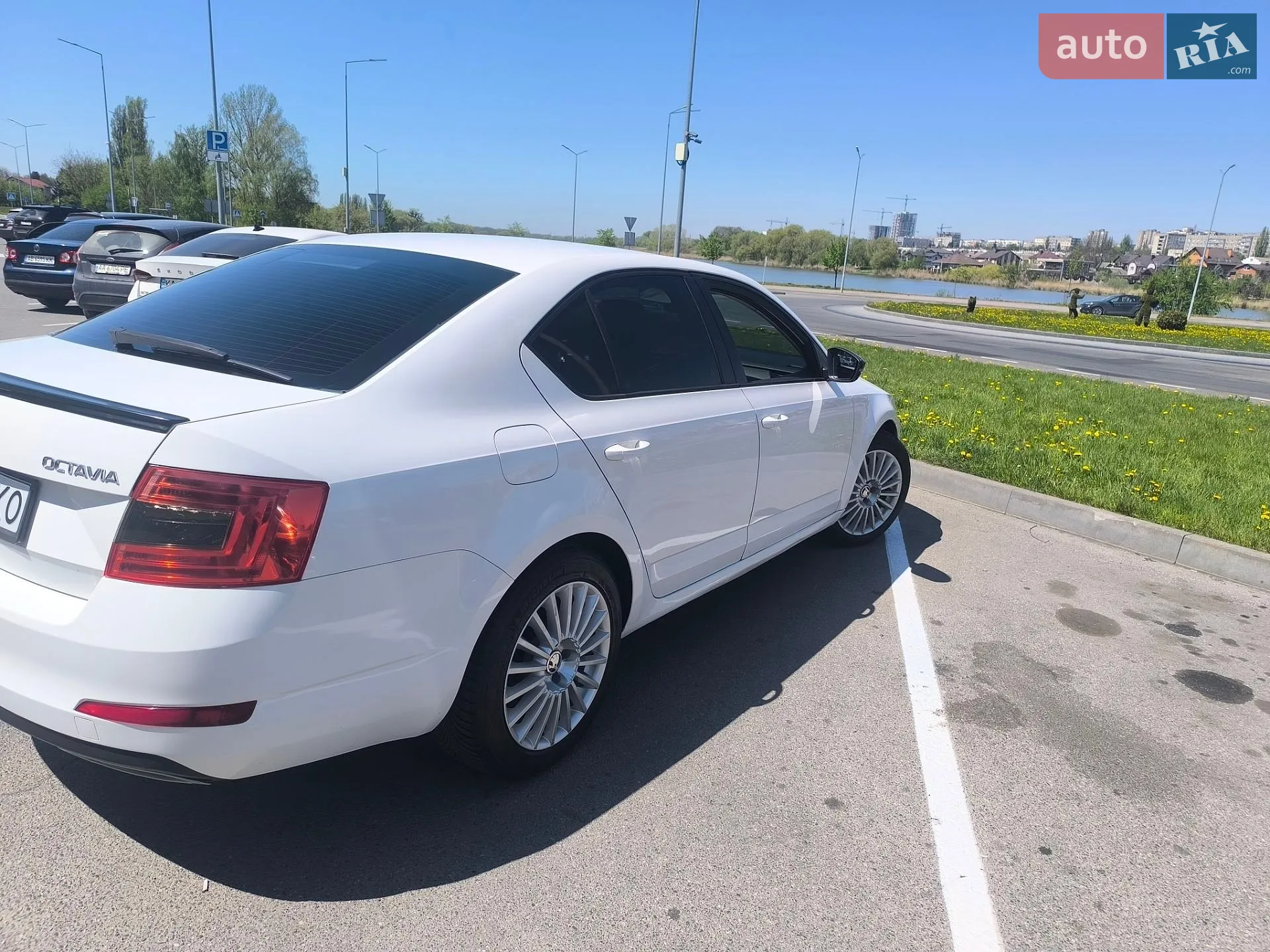 2014 Skoda Octavia - мініатюра 2