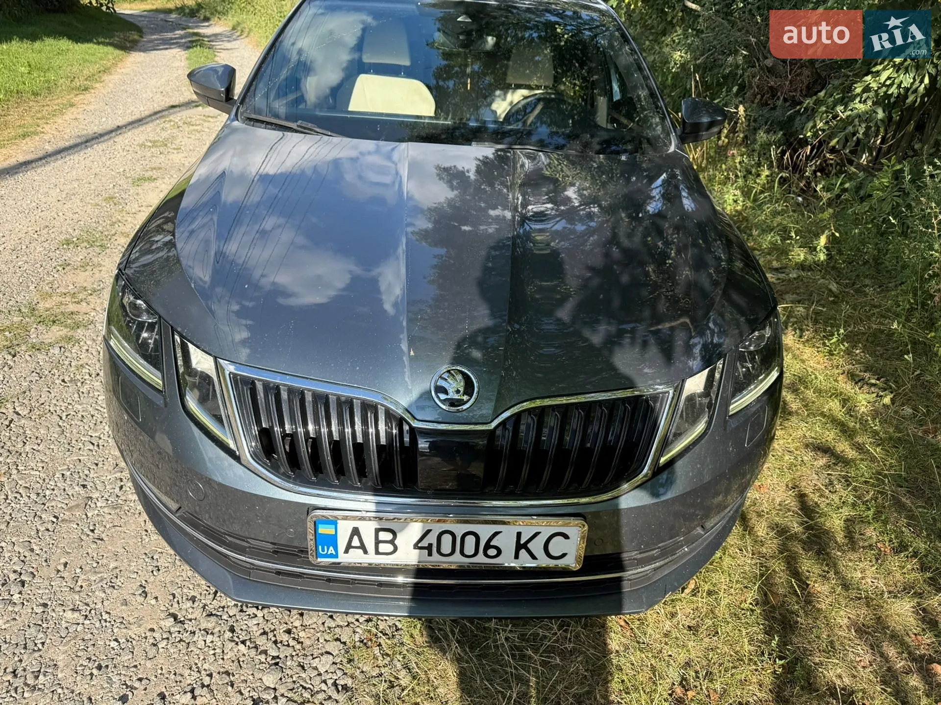2019 Skoda Octavia - мініатюра 22