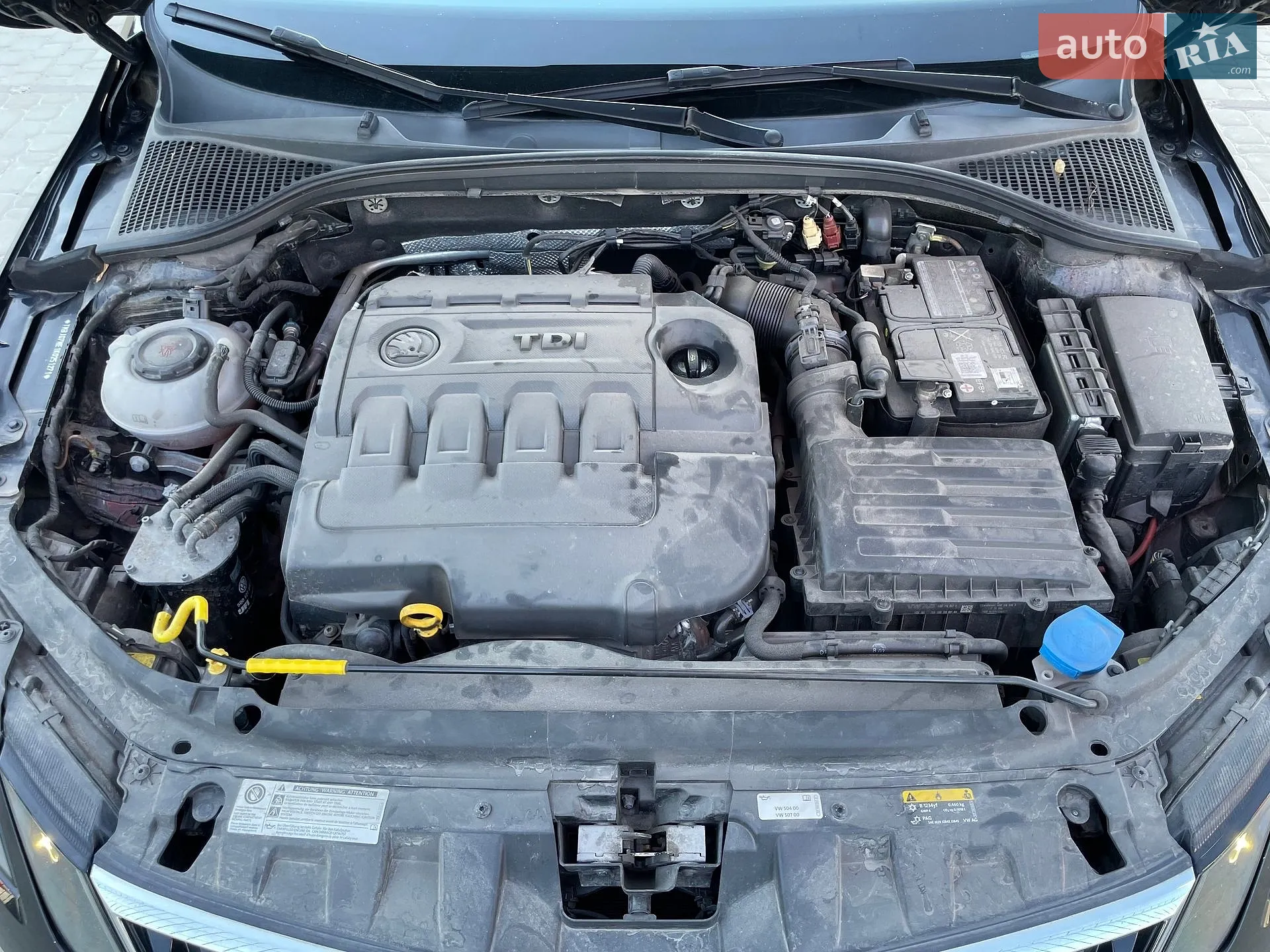 2019 Skoda Octavia - мініатюра 60