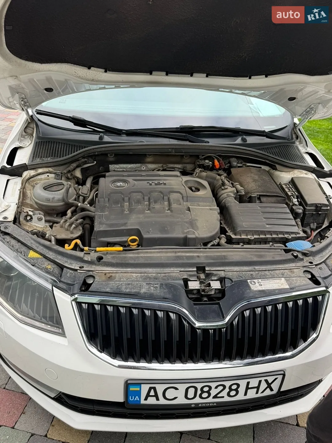 2013 Skoda Octavia - мініатюра 25