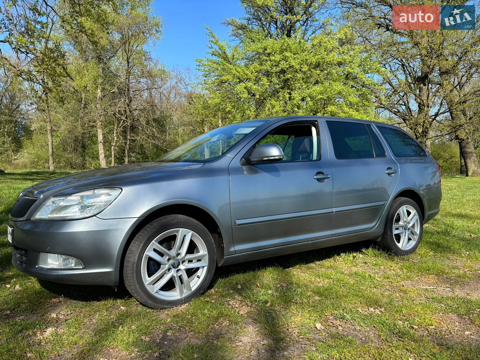 2013 Skoda Octavia - мініатюра 2