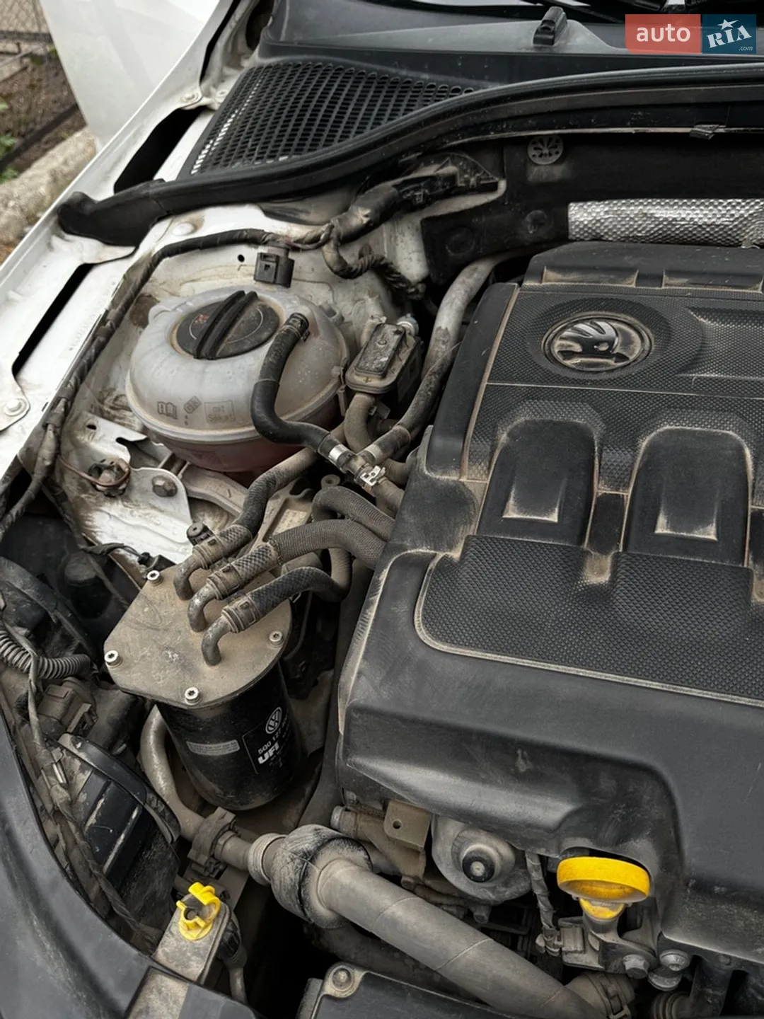 2013 Skoda Octavia - мініатюра 24