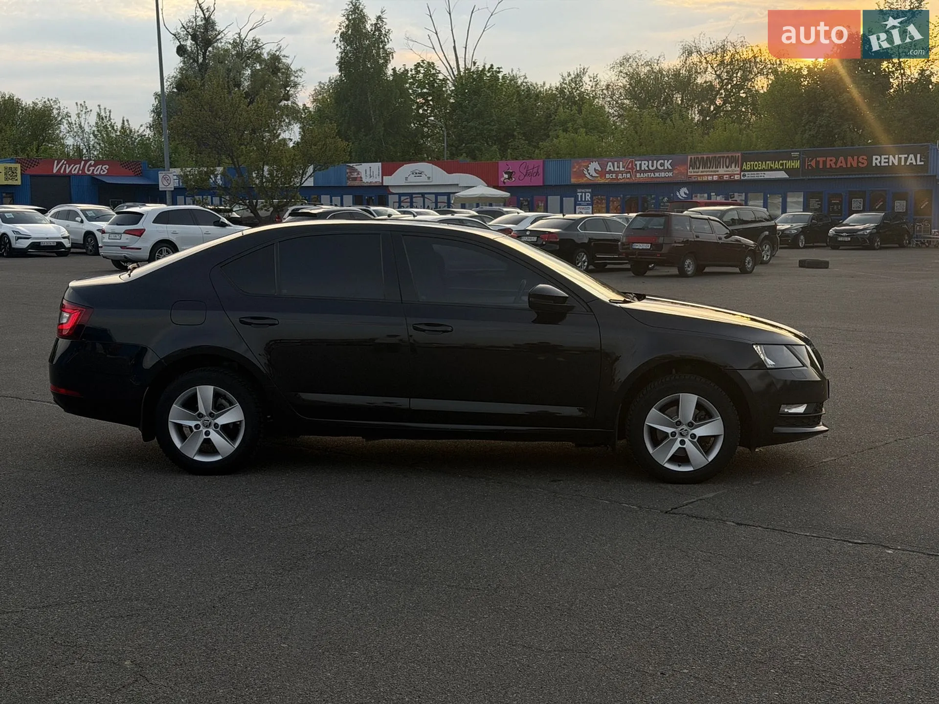 2017 Skoda Octavia - мініатюра 11