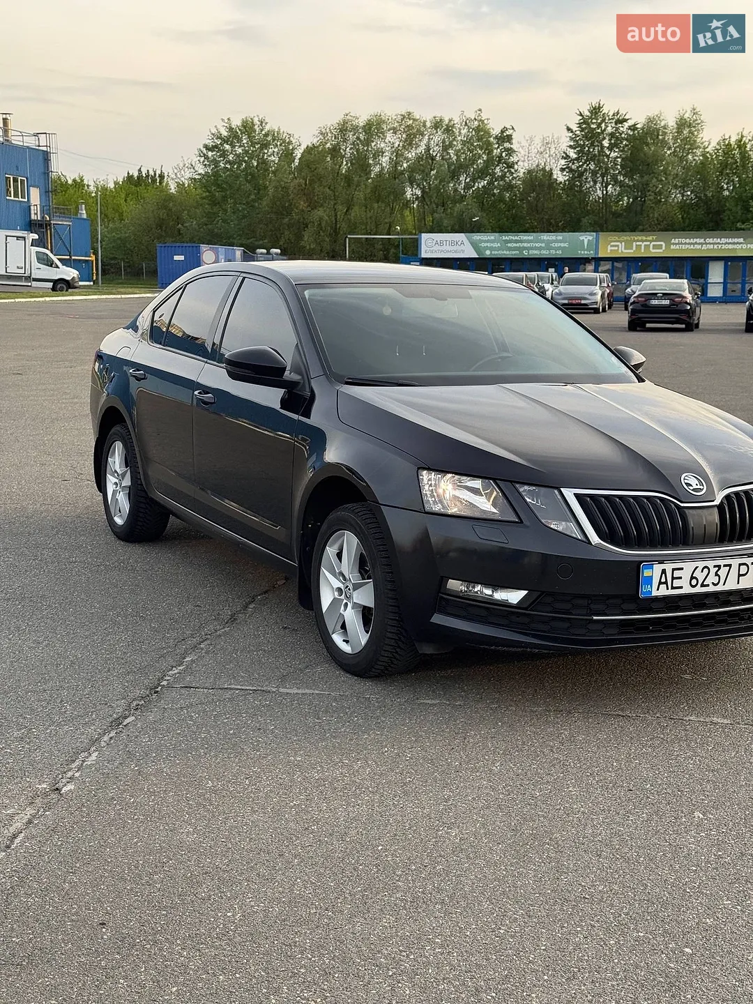 2017 Skoda Octavia - мініатюра 3