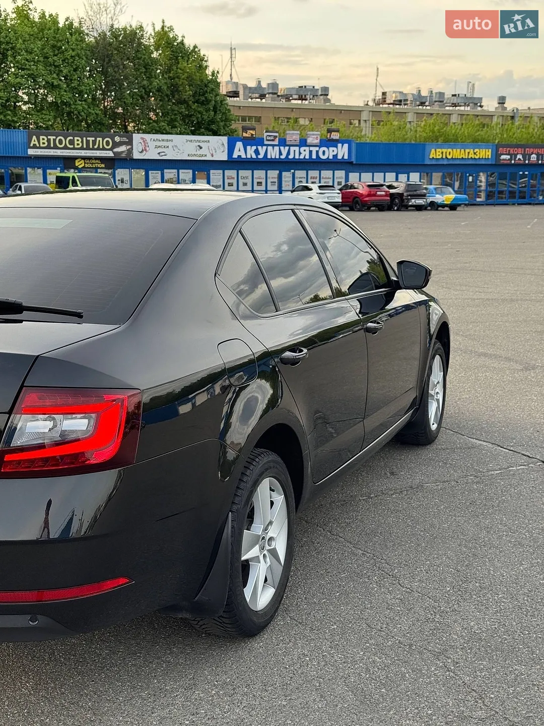 2017 Skoda Octavia - мініатюра 16