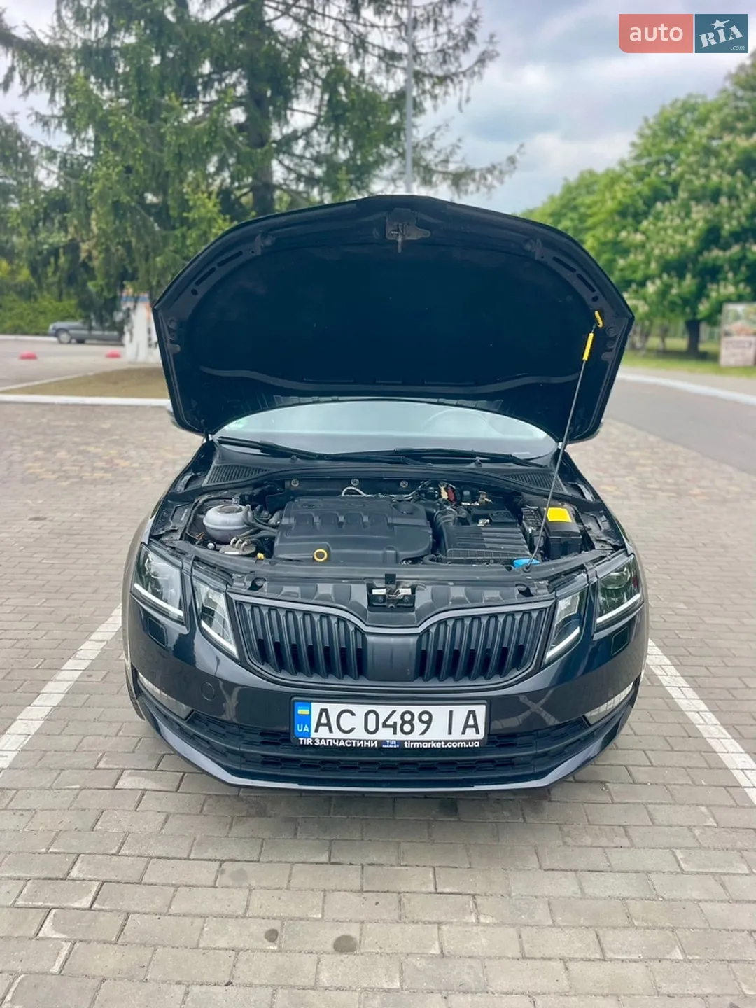 2019 Skoda Octavia - мініатюра 18